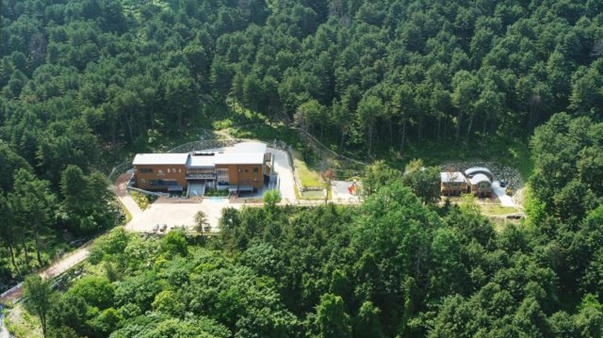 가평군 환경성질환 예방관리센터, '숲의 약속 서포터즈단' 운영