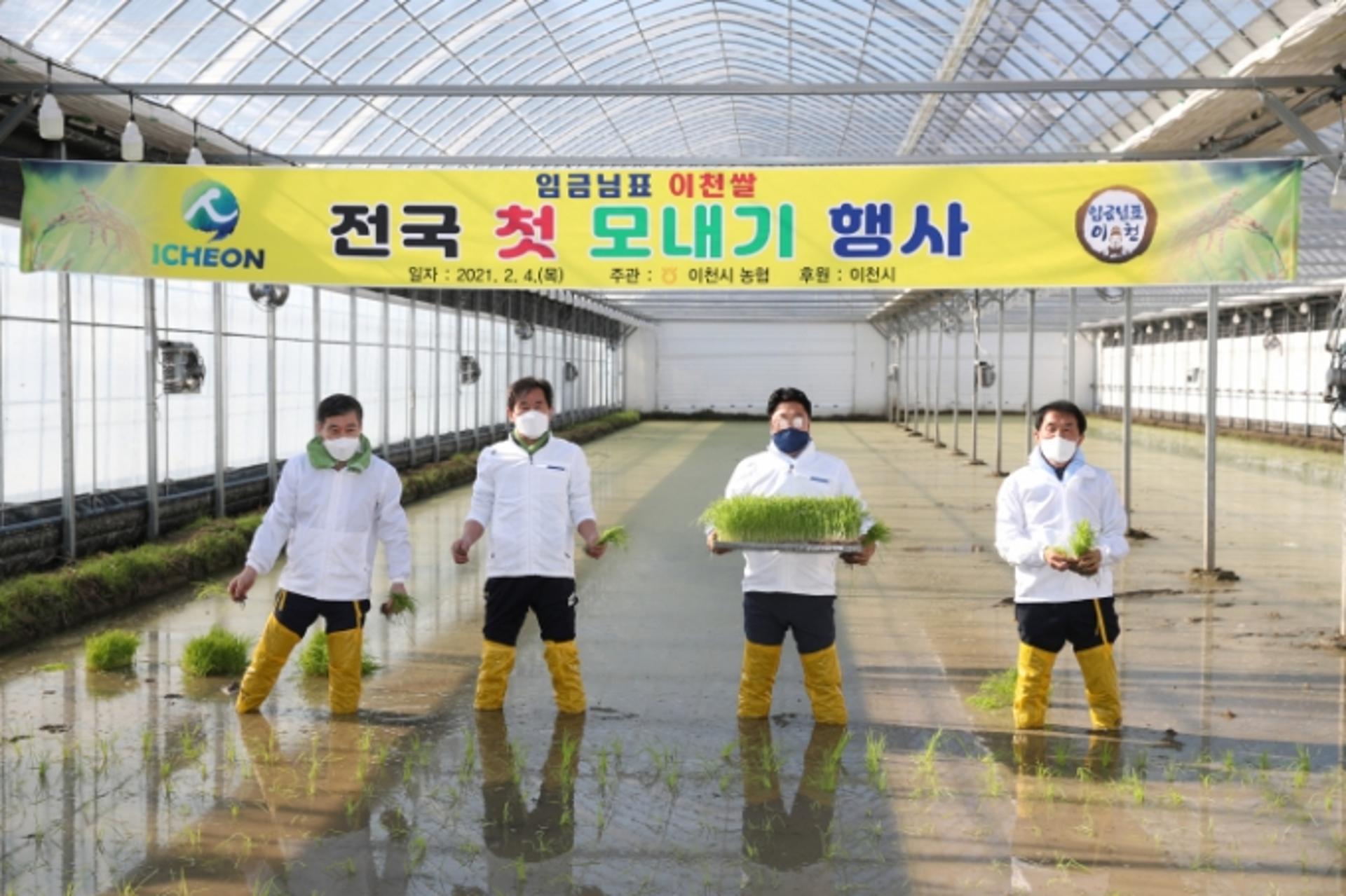 전국 첫 모내기한 임금님표 이천쌀