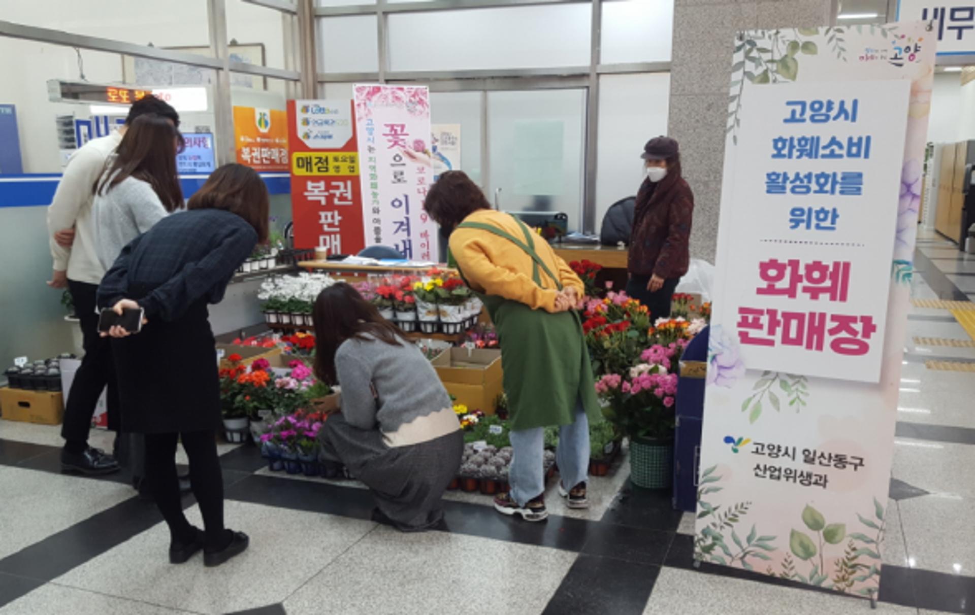 고양시, 코로나 직격탄 맞은 '화훼농가' 지원…10~20%↓ 임시판매장 특별운영