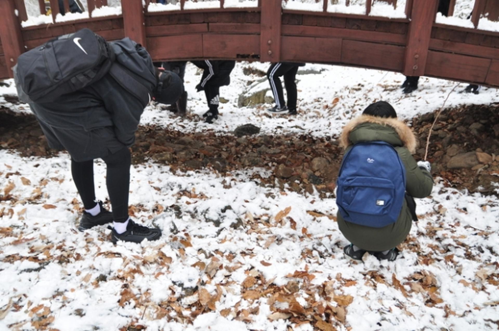 군포시, 봄철 불청객 매미나방과의 전쟁 선포…18일 알집제거 행사 열어