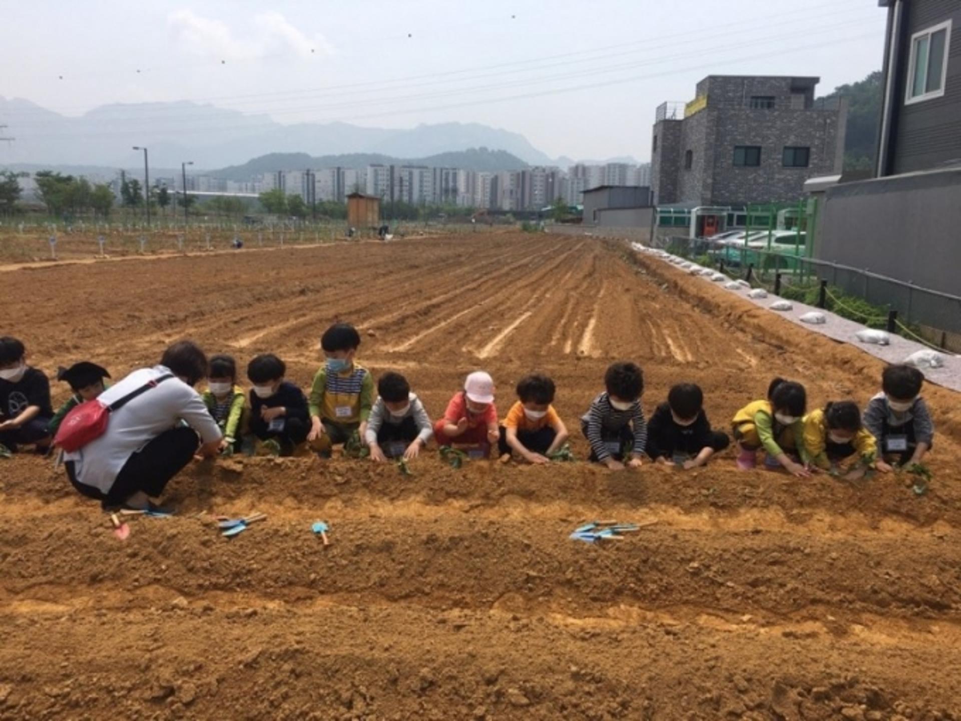 경기도, 화성 동탄·용인 흥덕 등에 도민텃밭 조성·경작자 모집