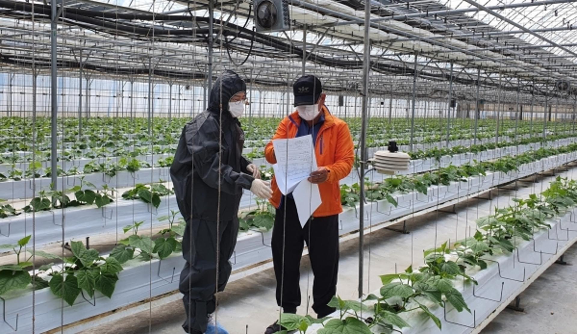 경기도농업기술원 "'스마트팜 현장지원센터 농가 맞춤형 컨설팅', 참여농가 90% '만족'"