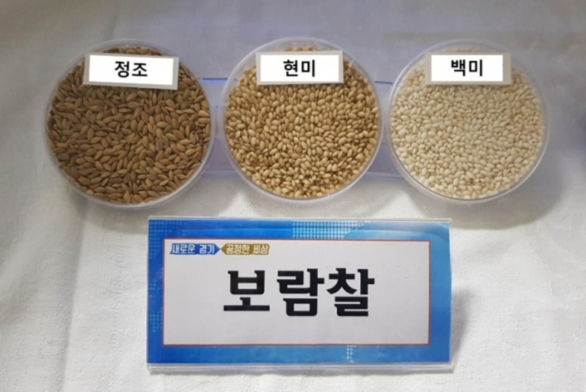 경기도 농기원, 도내 유기농 재배 적합 찰벼 품종에 '보람찰' 선정