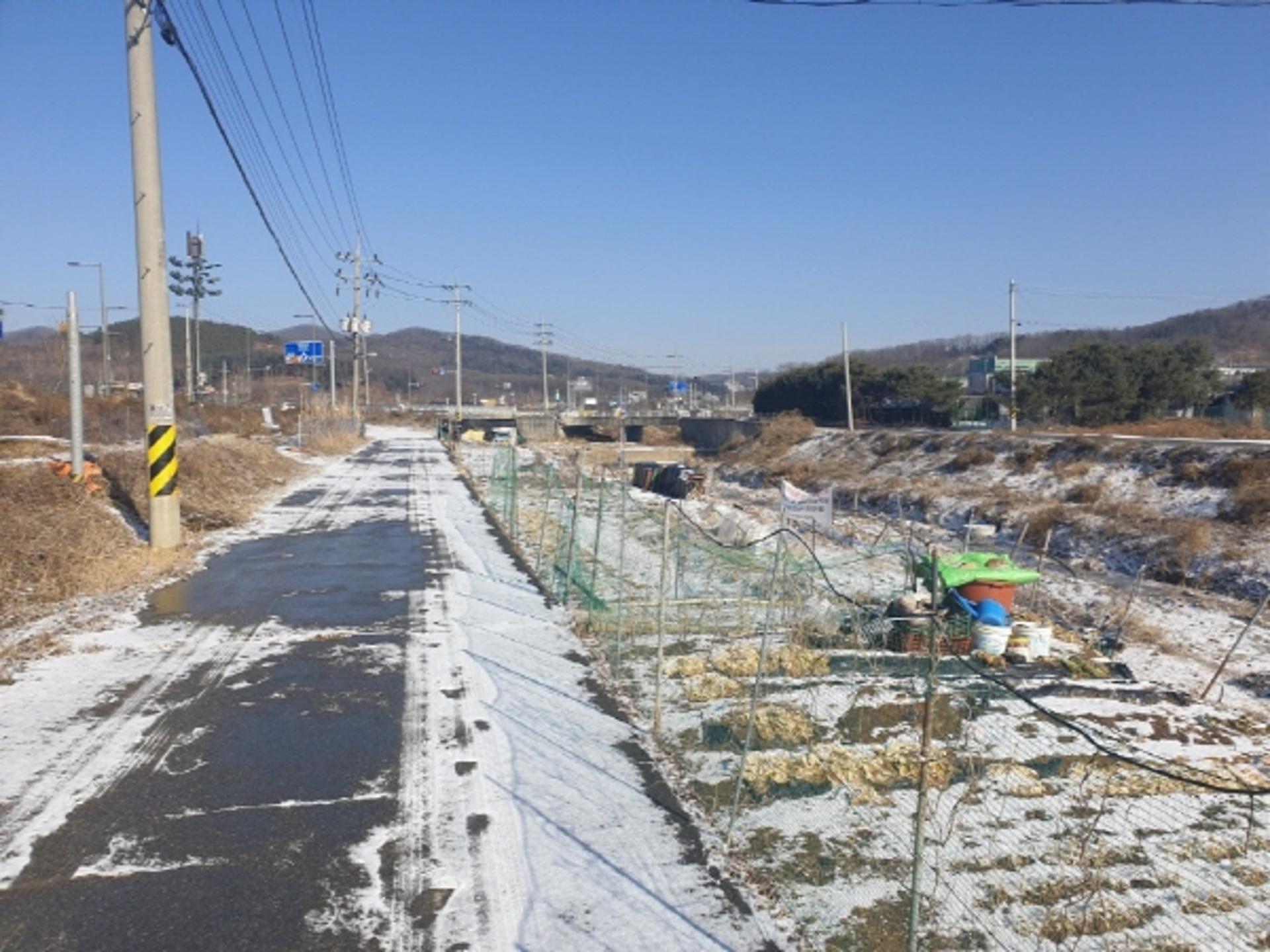 용인시 처인구, 경안천·완장천 내 불법경작 집중단속