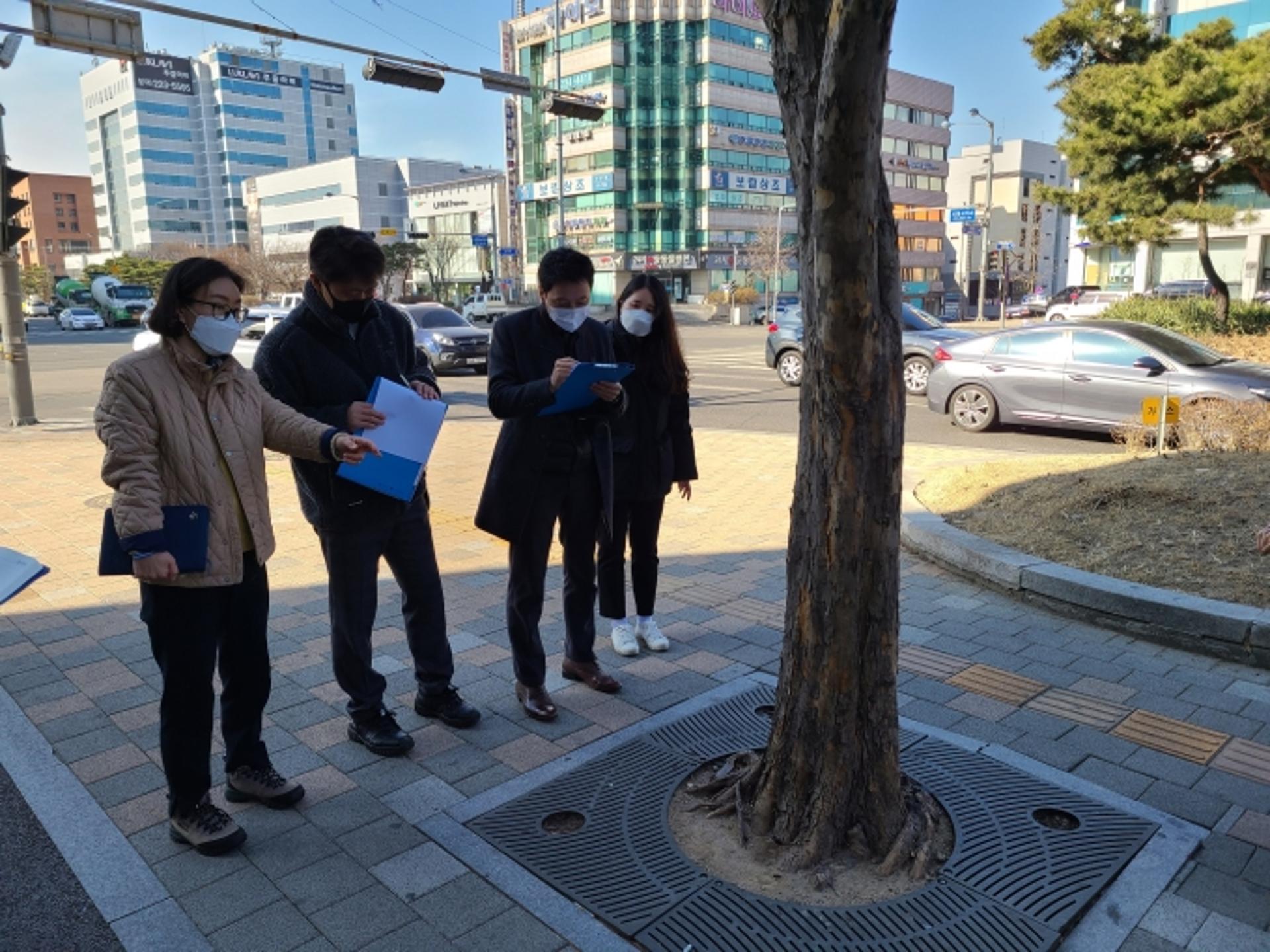 수원시, 안전하고 아름다운 가로수환경 조성