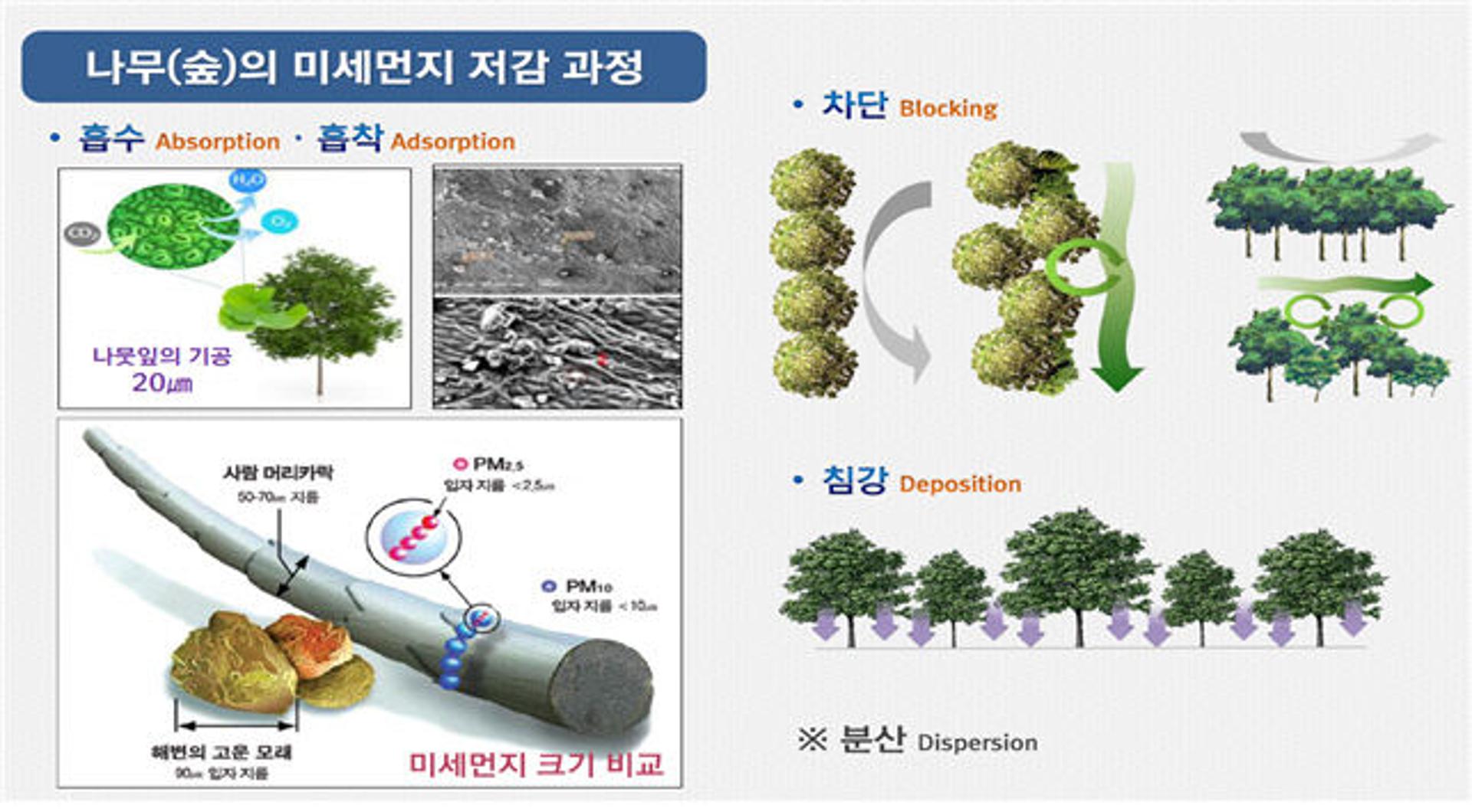 경기도, 862ha 규모 '내화수림대조성' 신규 추진 등 "녹색경기 실현"