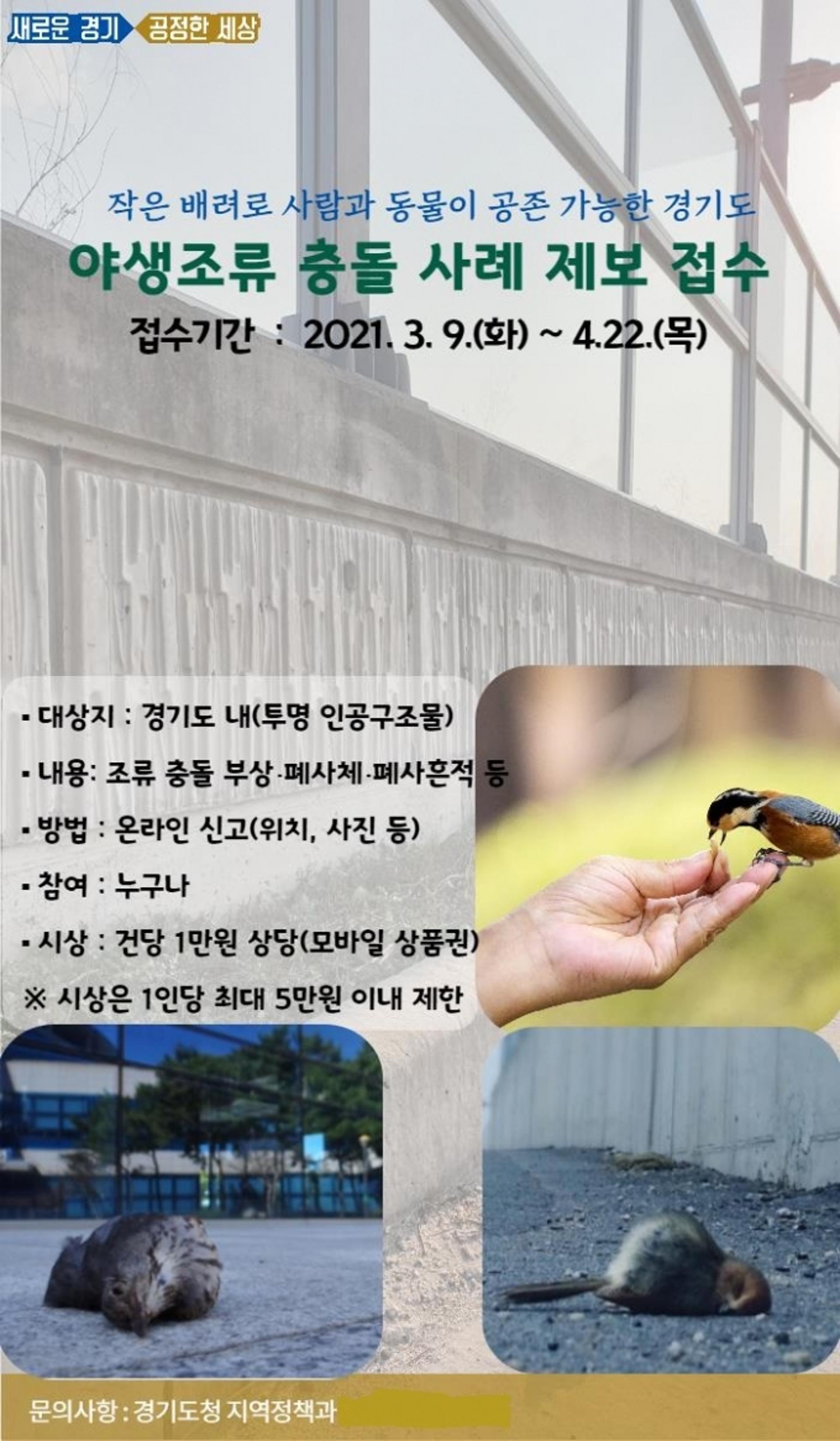 경기도, 투명 인공구조물 '조류충돌 사례' 도민제보 접수 시작