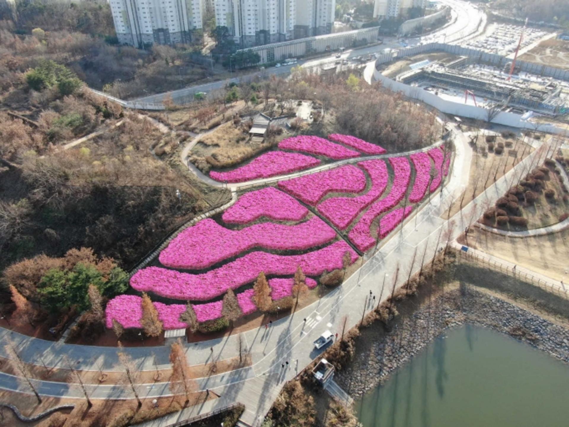 올 봄, 광교호수공원에서 철쭉동산 만난다…수원시, 2600m²규모 조성