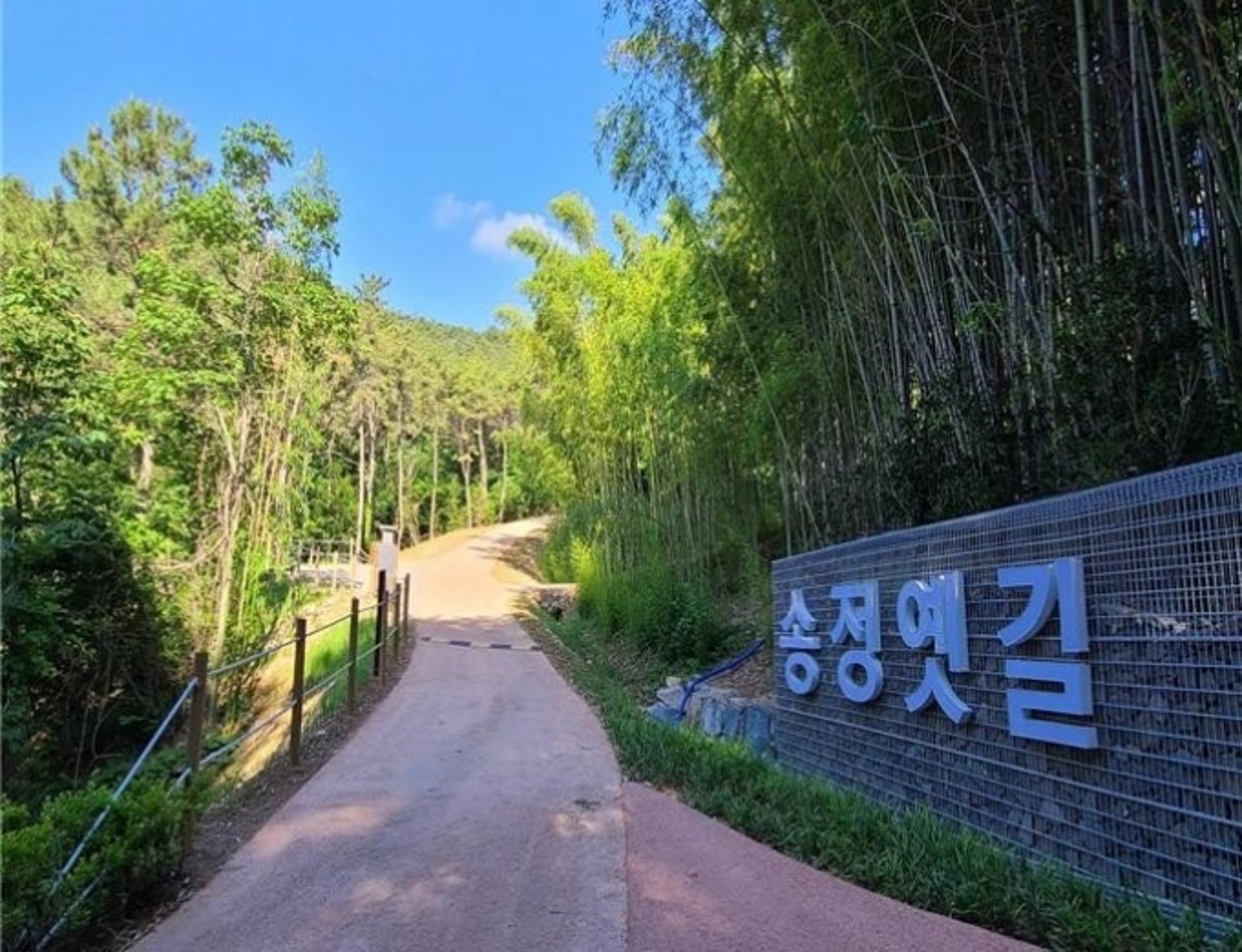 해운대구, 송정옛길 완전 복원 추진…사업비 6억원 확보