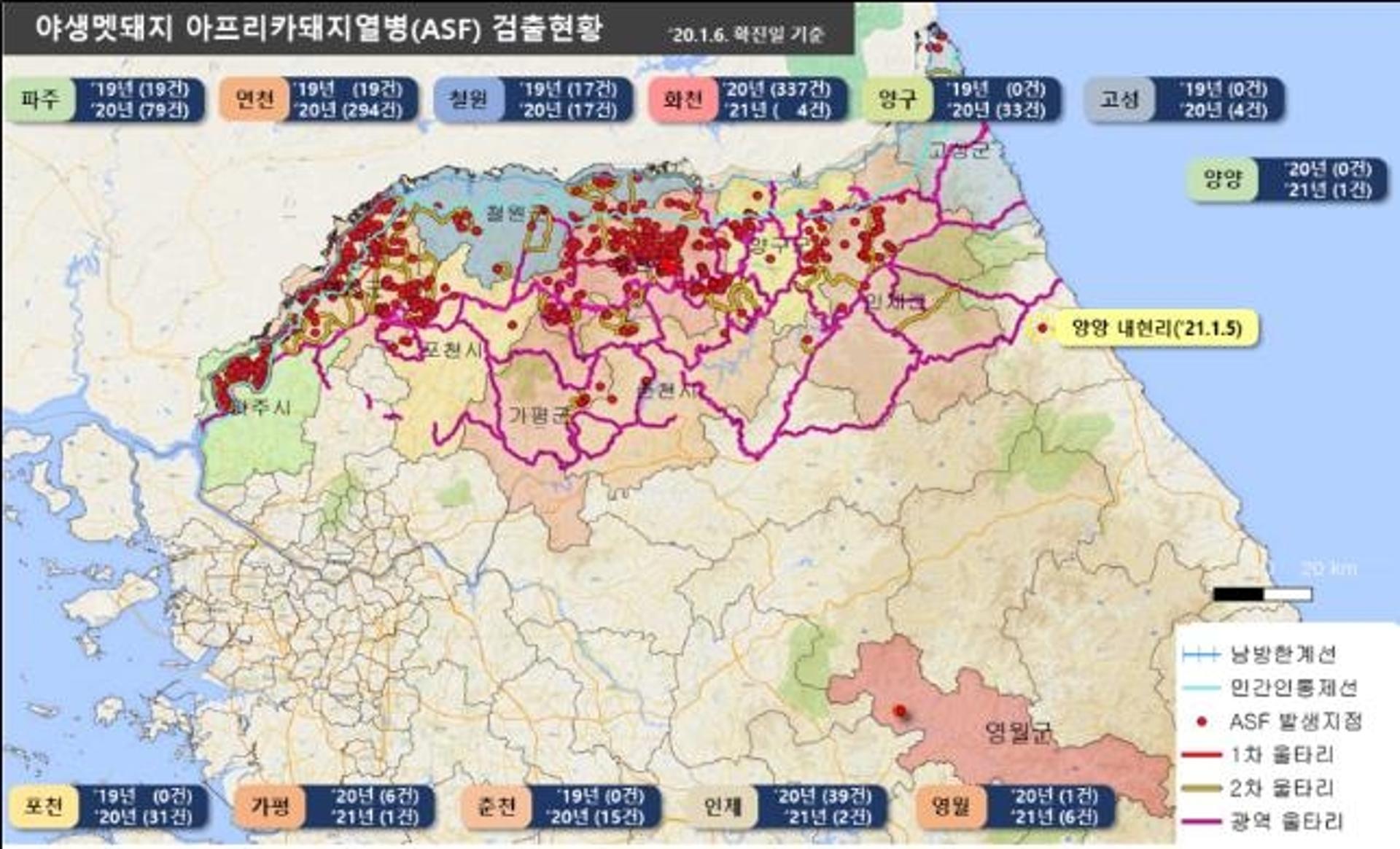 "아프리카돼지열병, 기승 부릴 듯"… 경기도, 방역 관리 강화