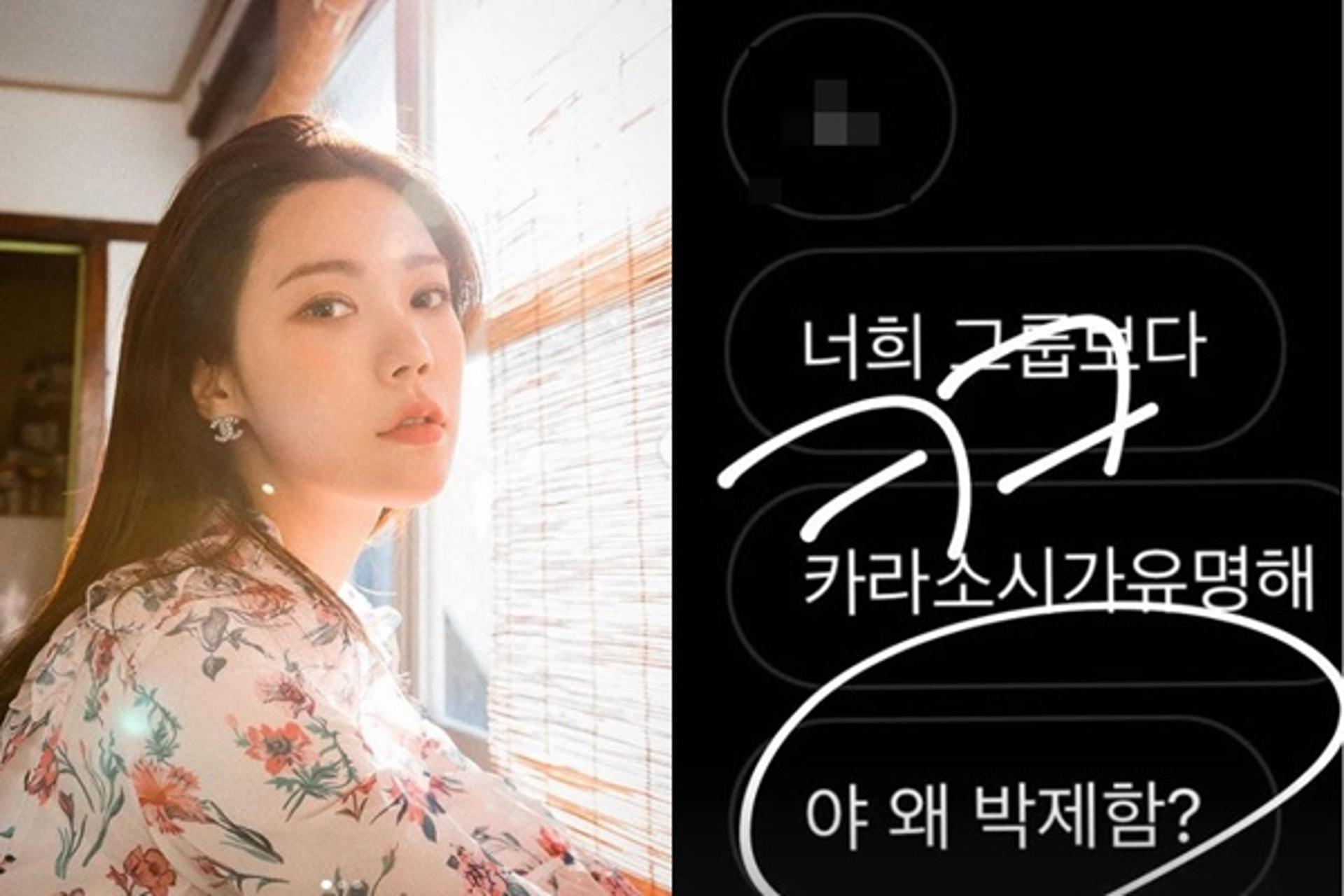 "카라·소시한테 발렸지?"… 리지, 악플러 박제