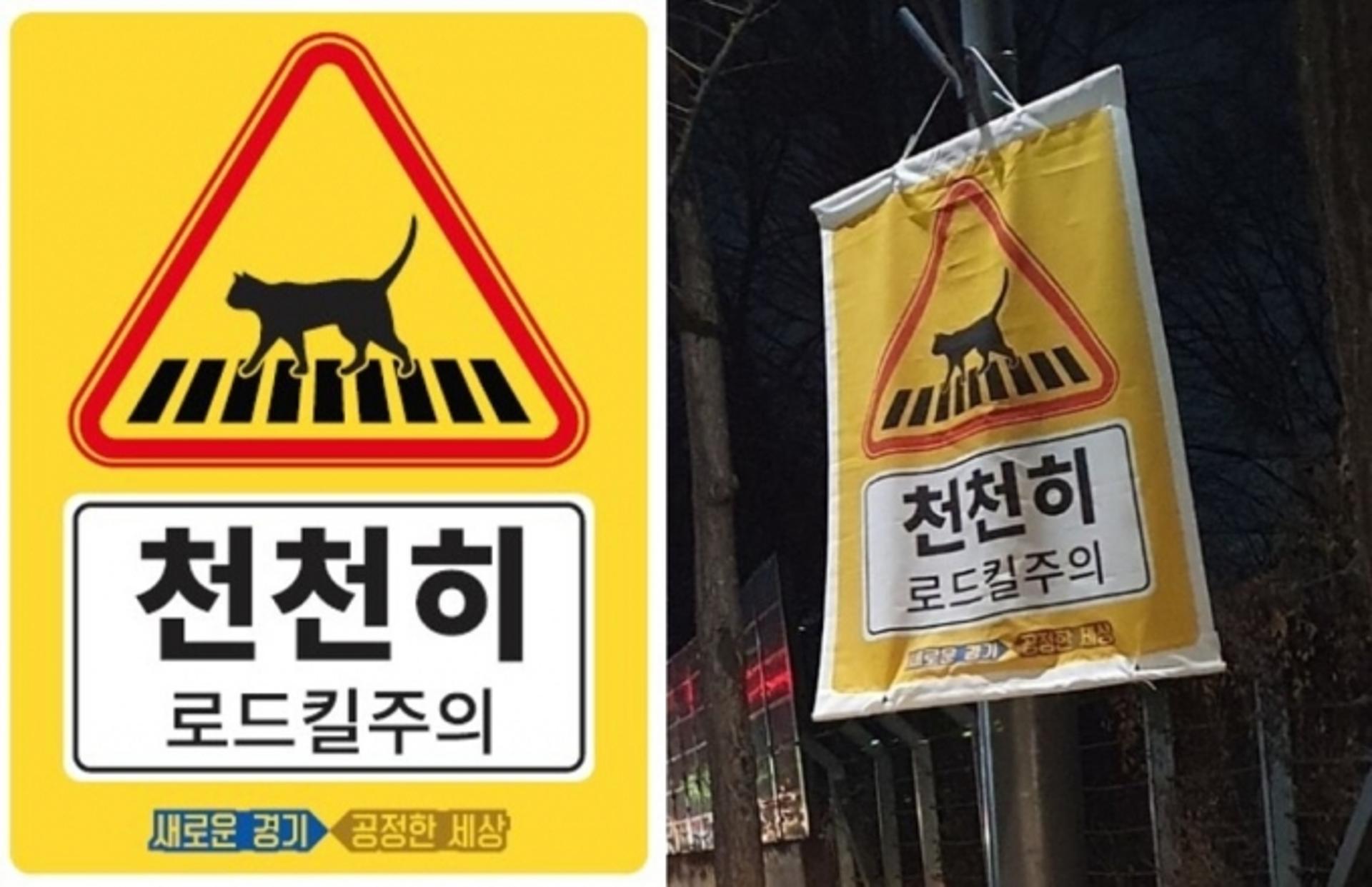 경기도, 도심 내 ‘길고양이 로드킬’ 예방 위해 홍보 스티커 1500장 제작