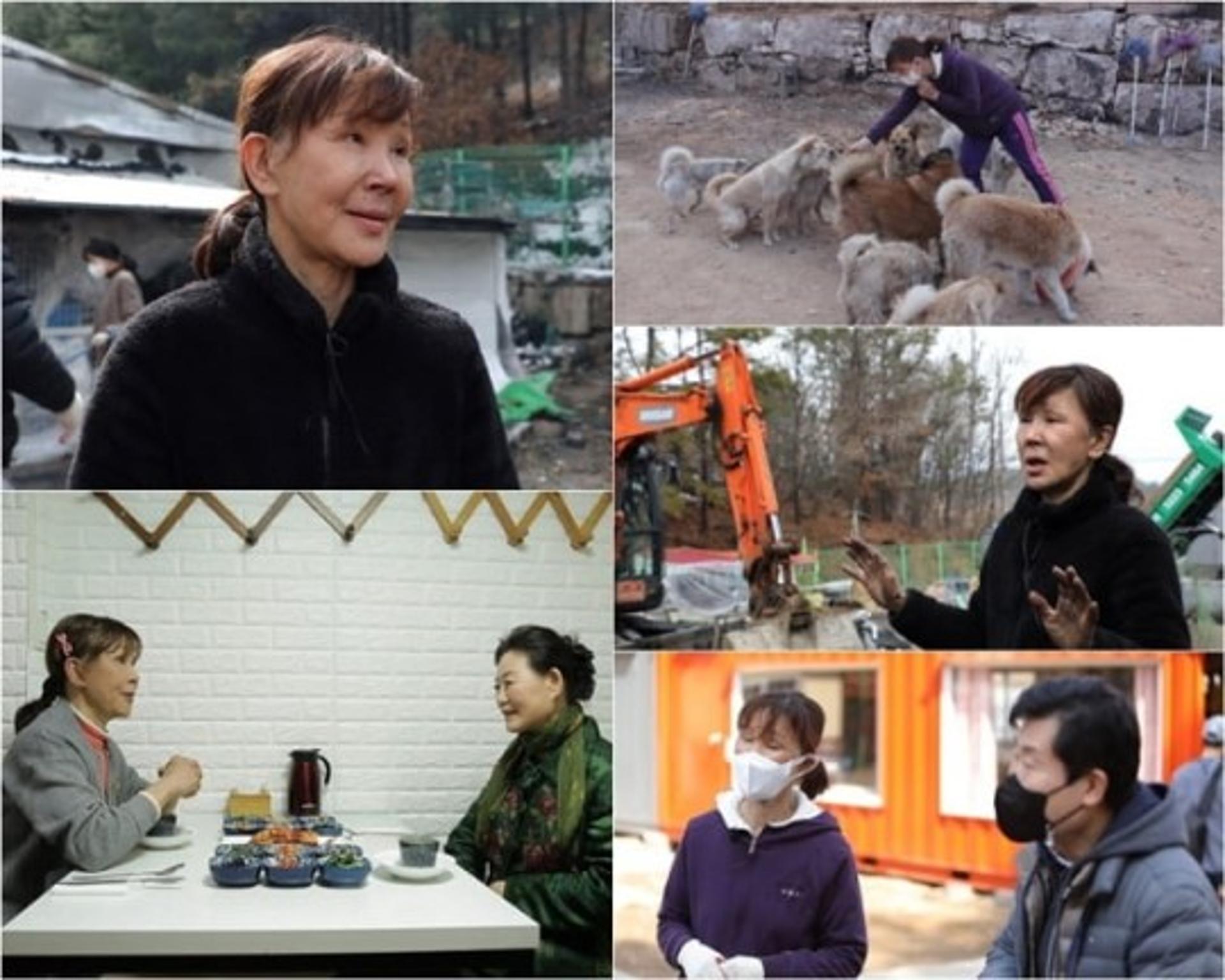 '마이웨이' 이용녀 근황, "유기견 보호소 화재 이후…"
