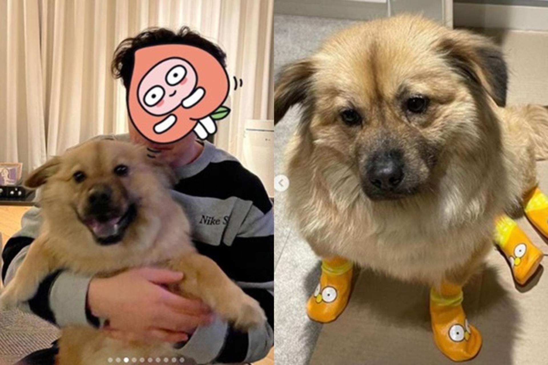 "곰자야 안녕"… 조승우 근황, 반려견과 다정한 투샷
