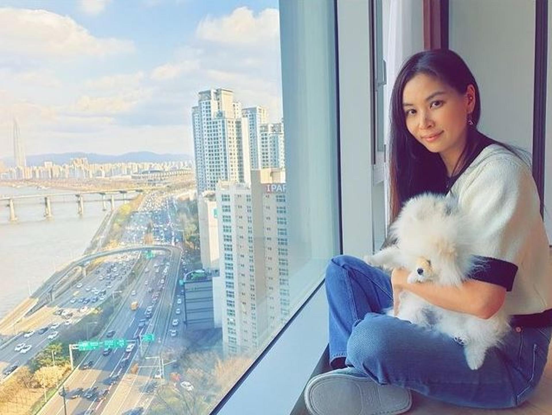 "163억 한강뷰 美쳤다"… 고소영 최고 비싼 집 일상 보니