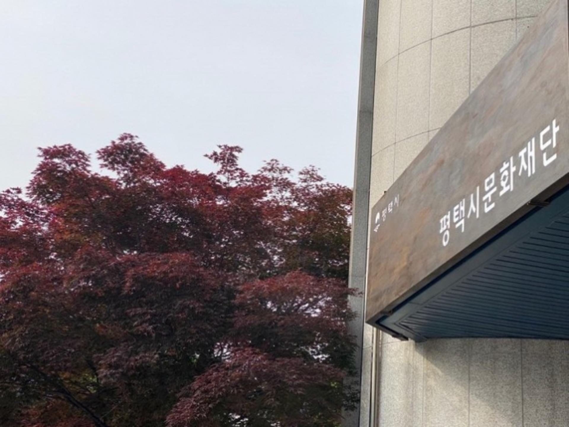 평택시문화재단, 첫 돌 기념 지역문화예술인 포럼·지원사업 설명회 개최