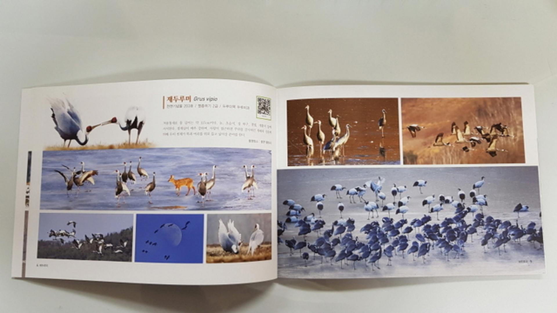 연천군, 관내에서 관찰되는 조류사진집 제작