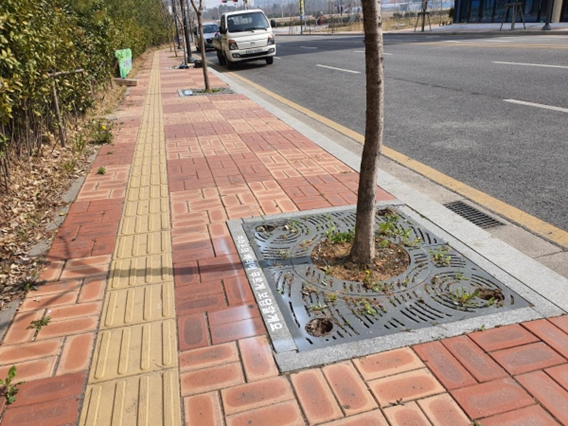 수원시 가로수정원사봉사단, 가로수에 '감성 5개 문구' 새겨