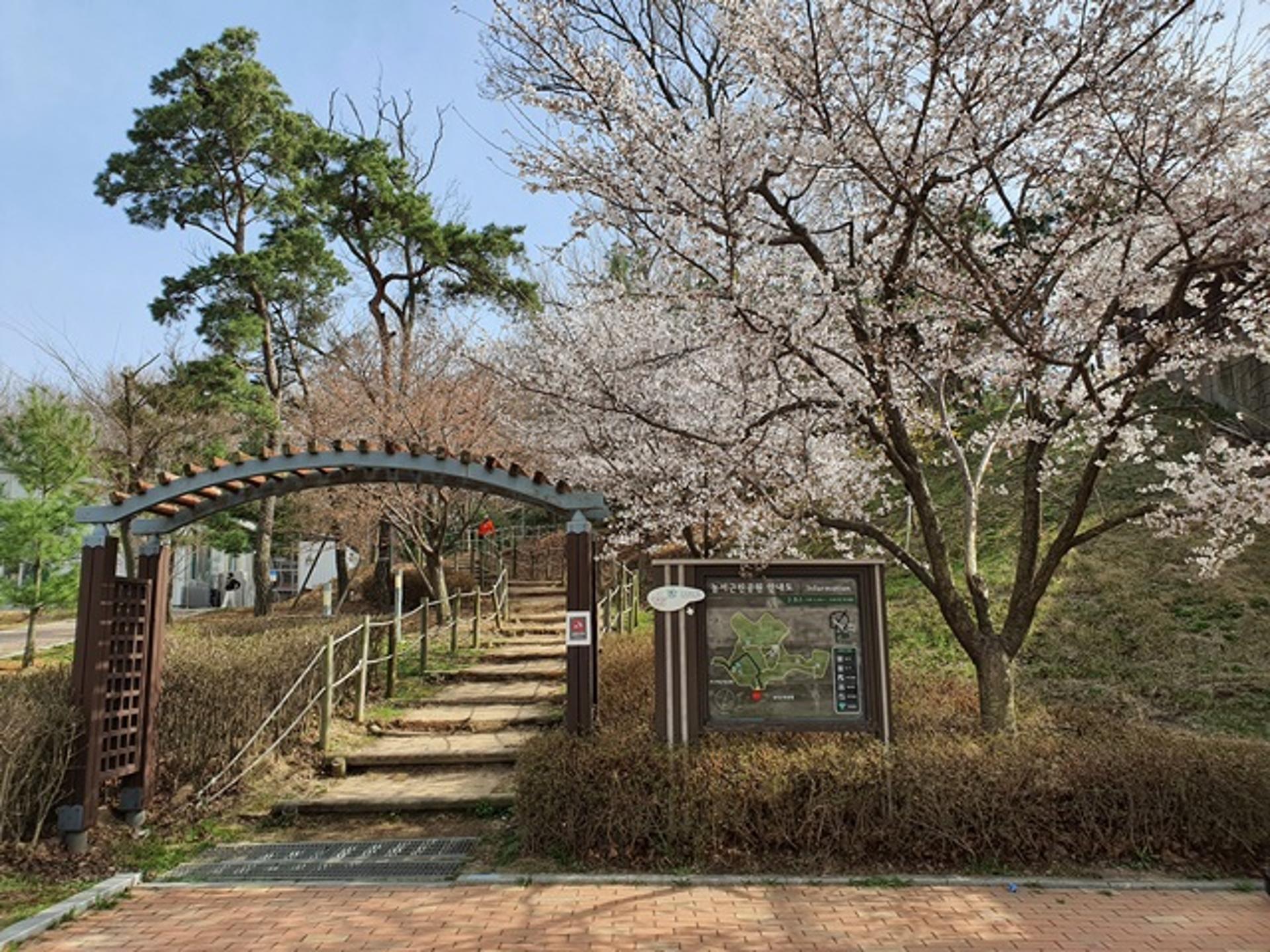 용인시, 기흥구 농서근린공원 산책로 정비…명품화 나선다