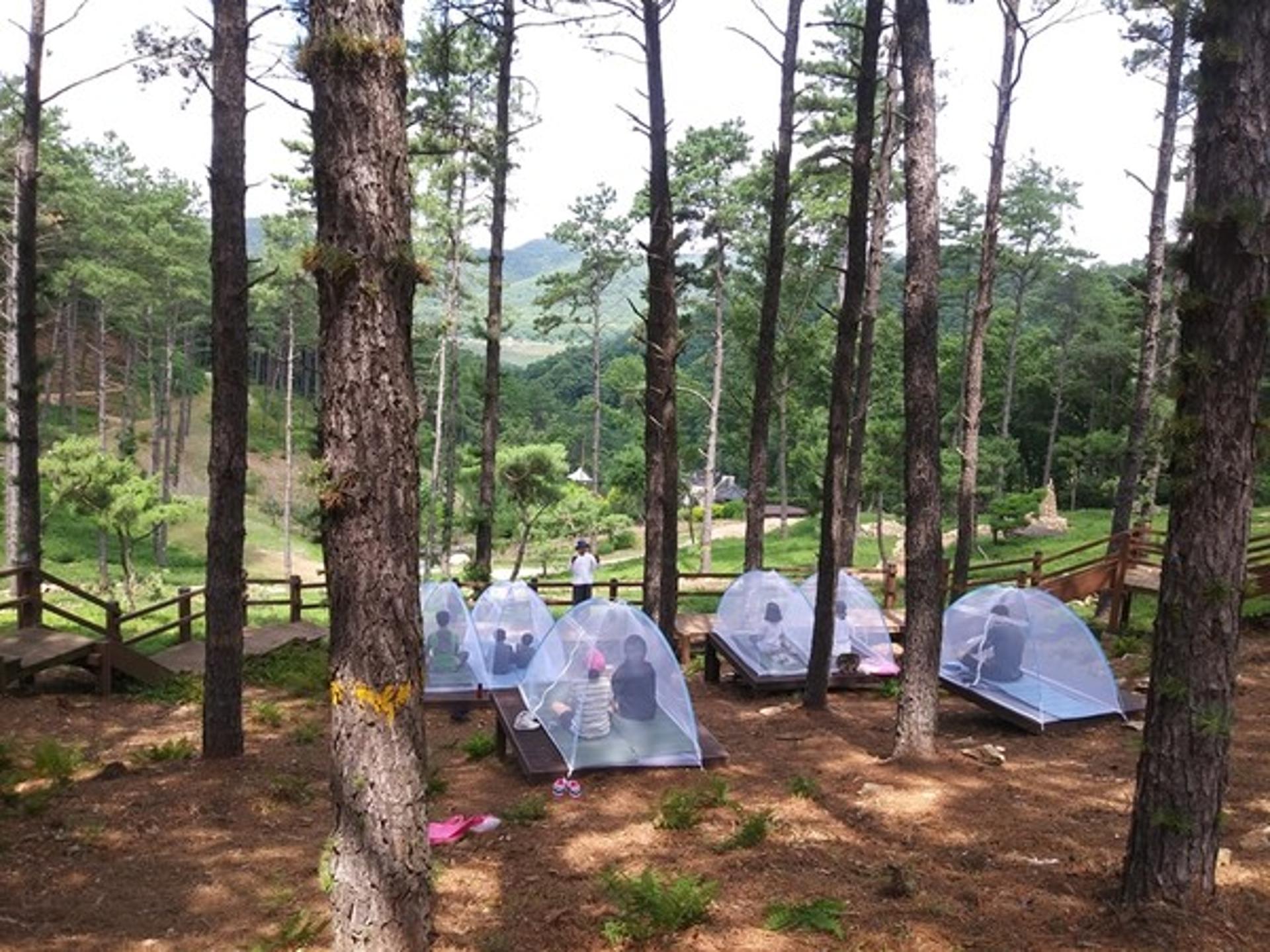 파주시, 율곡수목원 산림치유프로그램 운영 재개…"면역력 챙기세요"