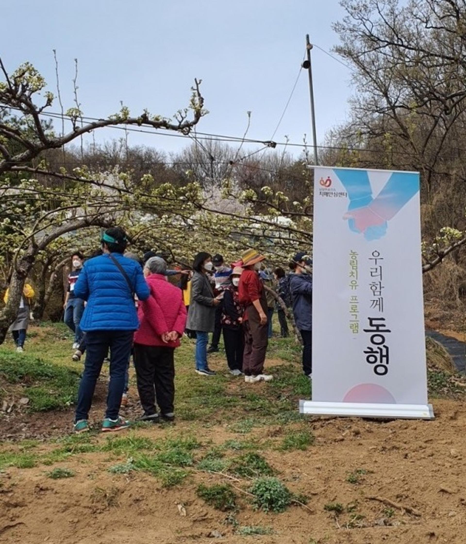 "나도 배과수원이 생겼어요" 남양주시, '우리함께 동행' 농림치유 프로그램 시작
