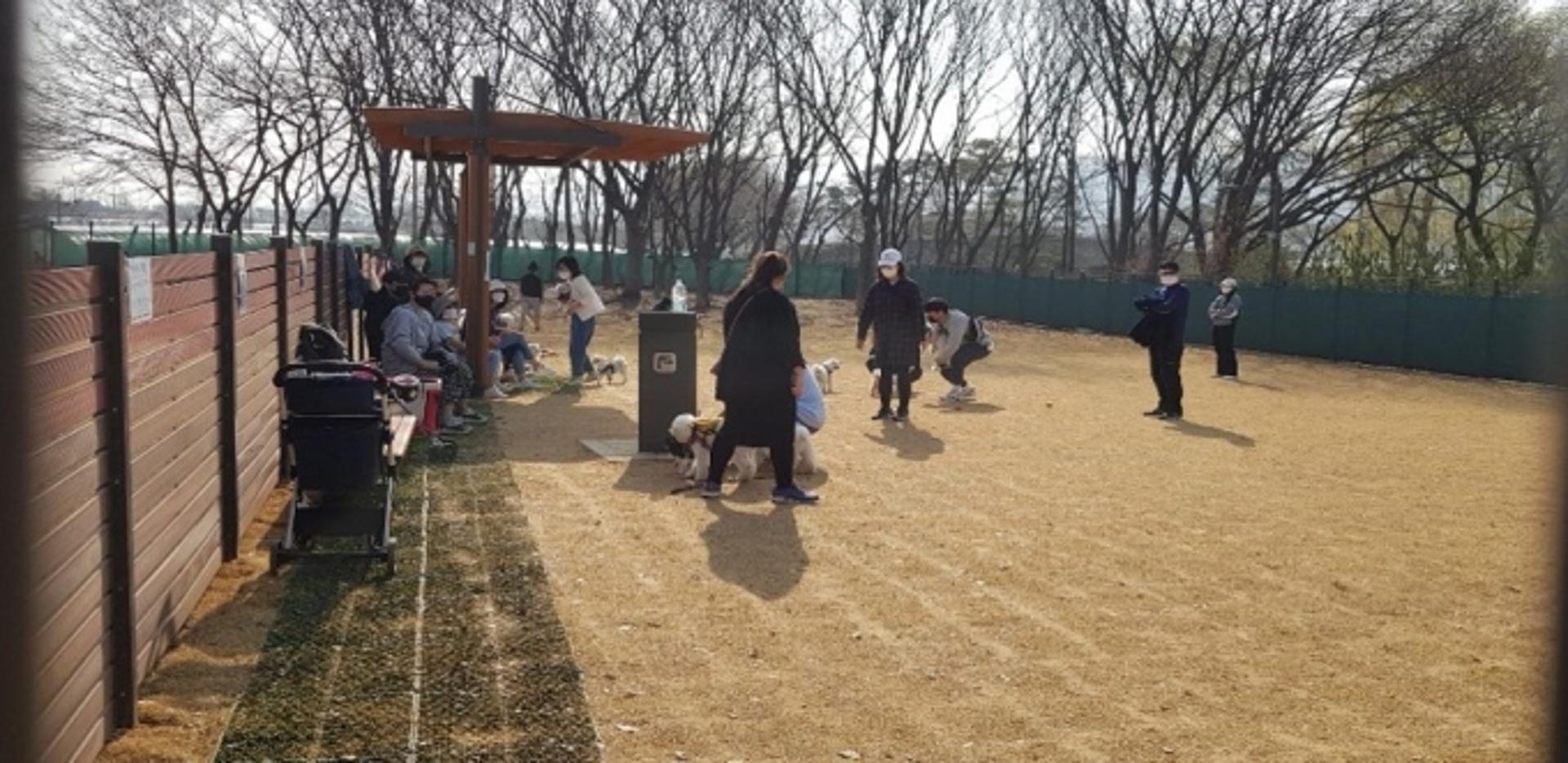 구리 장자호수생태공원의 변화…'반려동물 놀이터', 사람·동물 '호호'