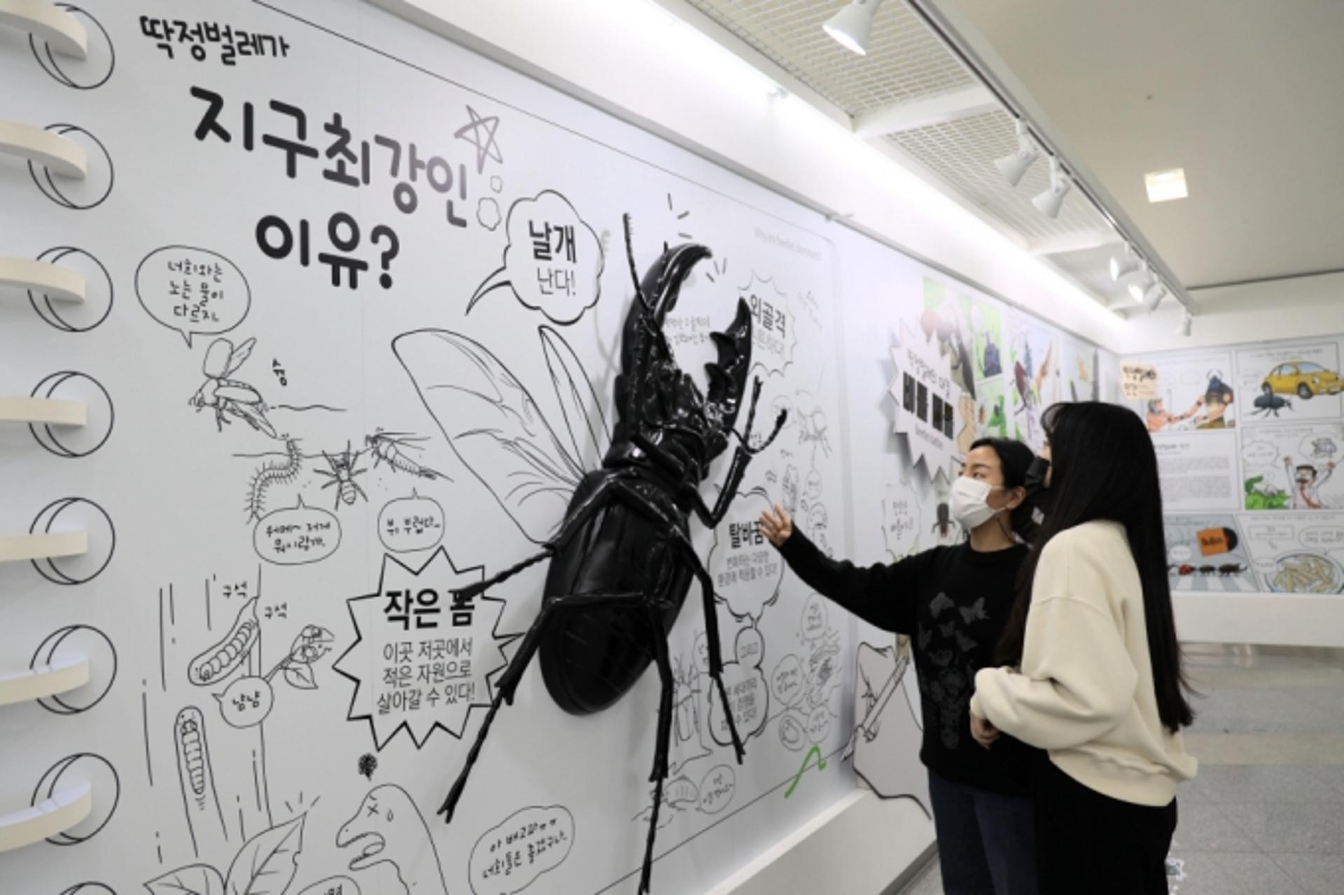 딱정벌레가 지구최강인 이유… 국립부산과학관, 작지만 거대한 딱정벌레 기획전