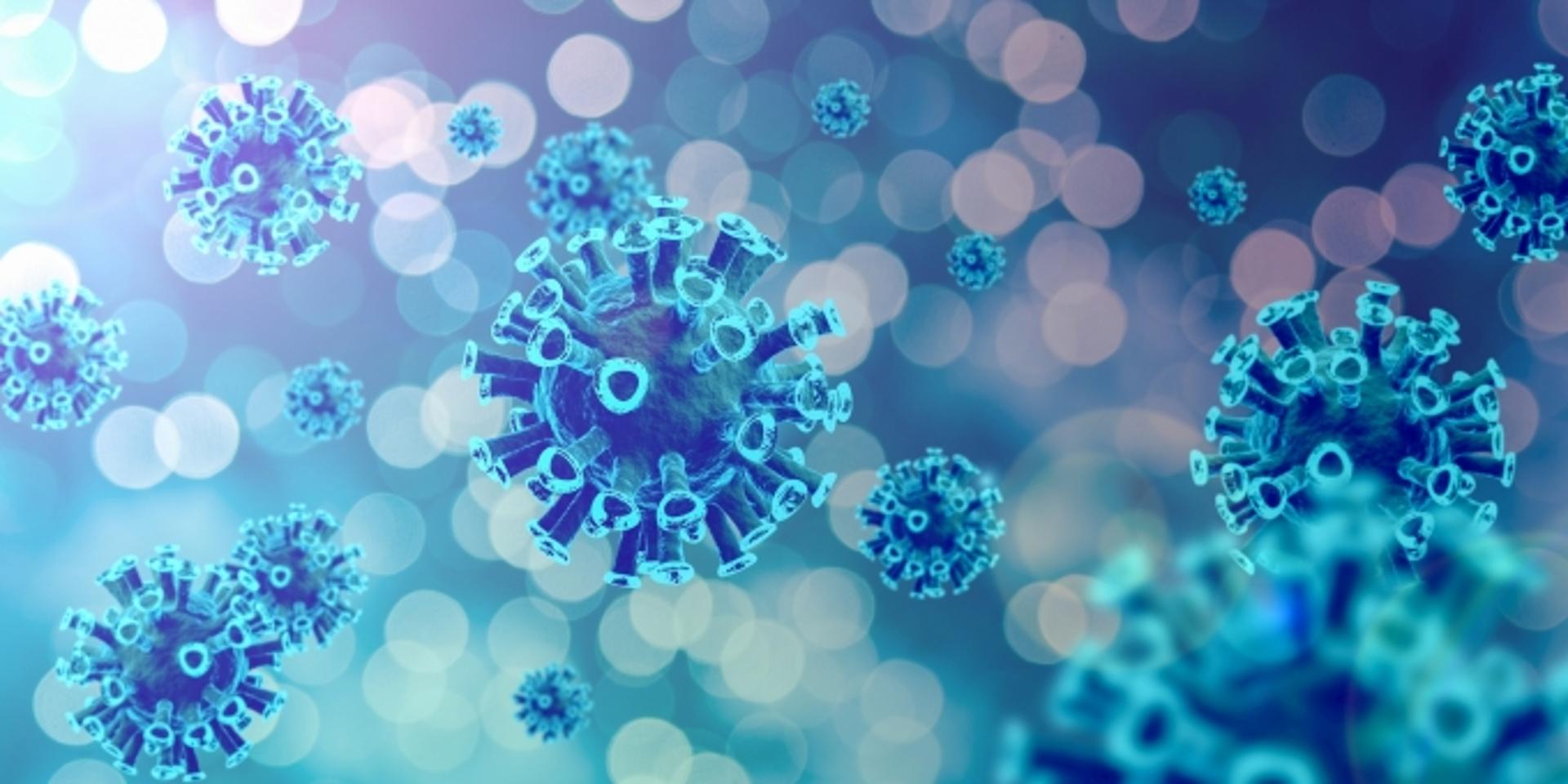 마스크 안쓰는 미국, 코로나 패닉… 일일 신규 확진자 8만명