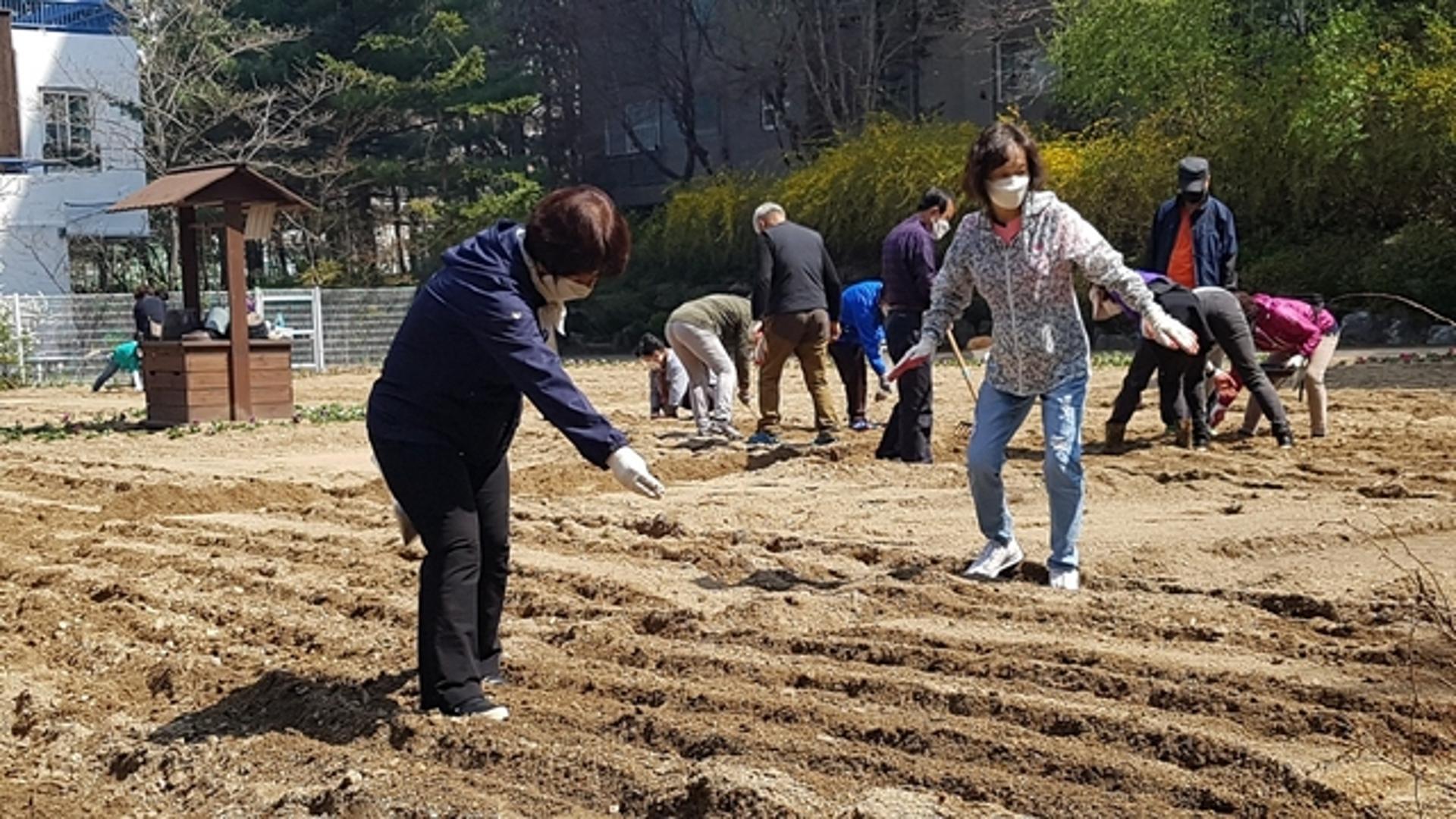'고양 꽃도시 만들기', 시민의 힘으로 '착착' 진행
