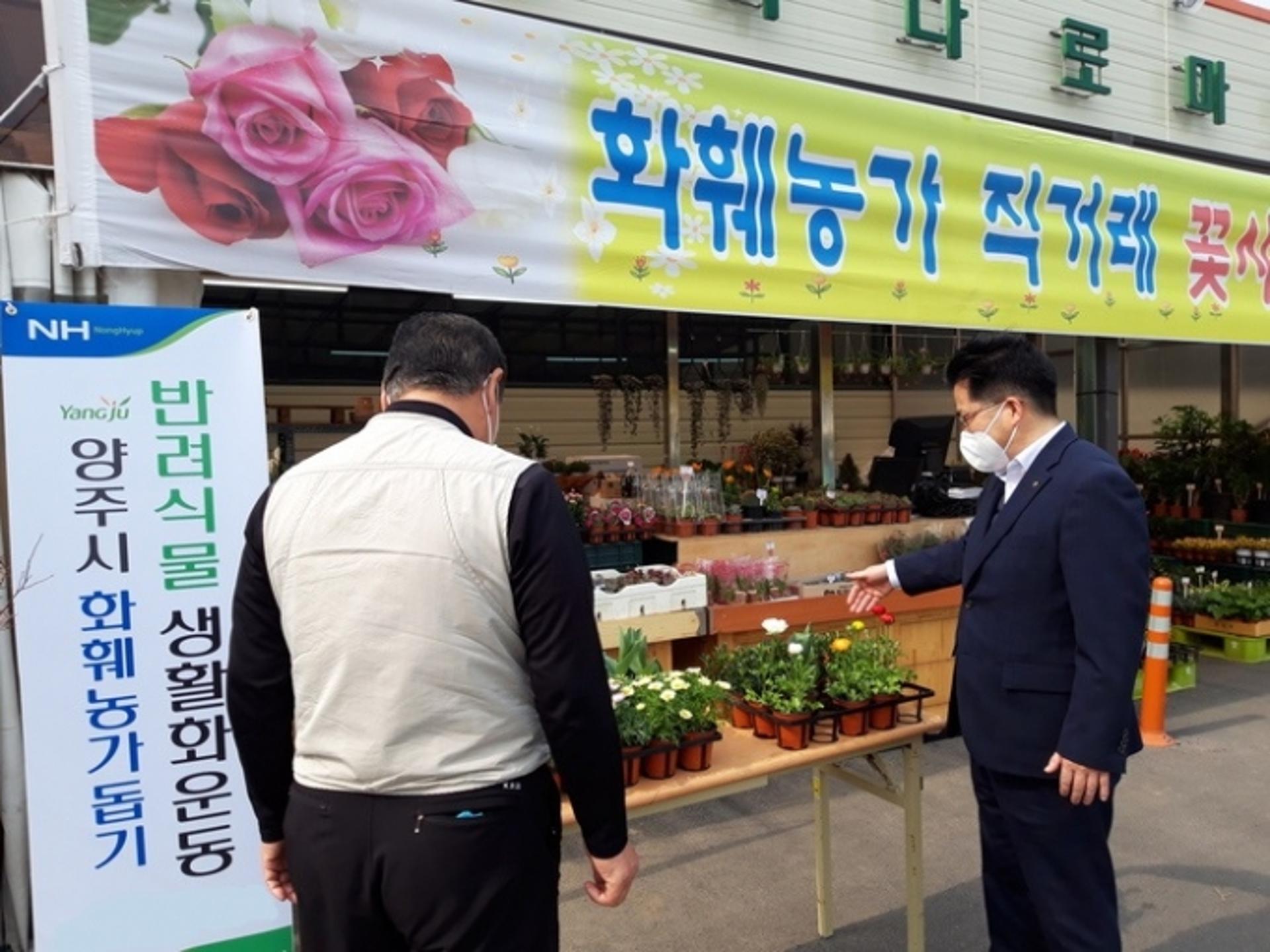 "감사의 달 5월, 꽃 원산지 꼭 확인하세요"…양주시, 화훼류 원산지표시 지도점검