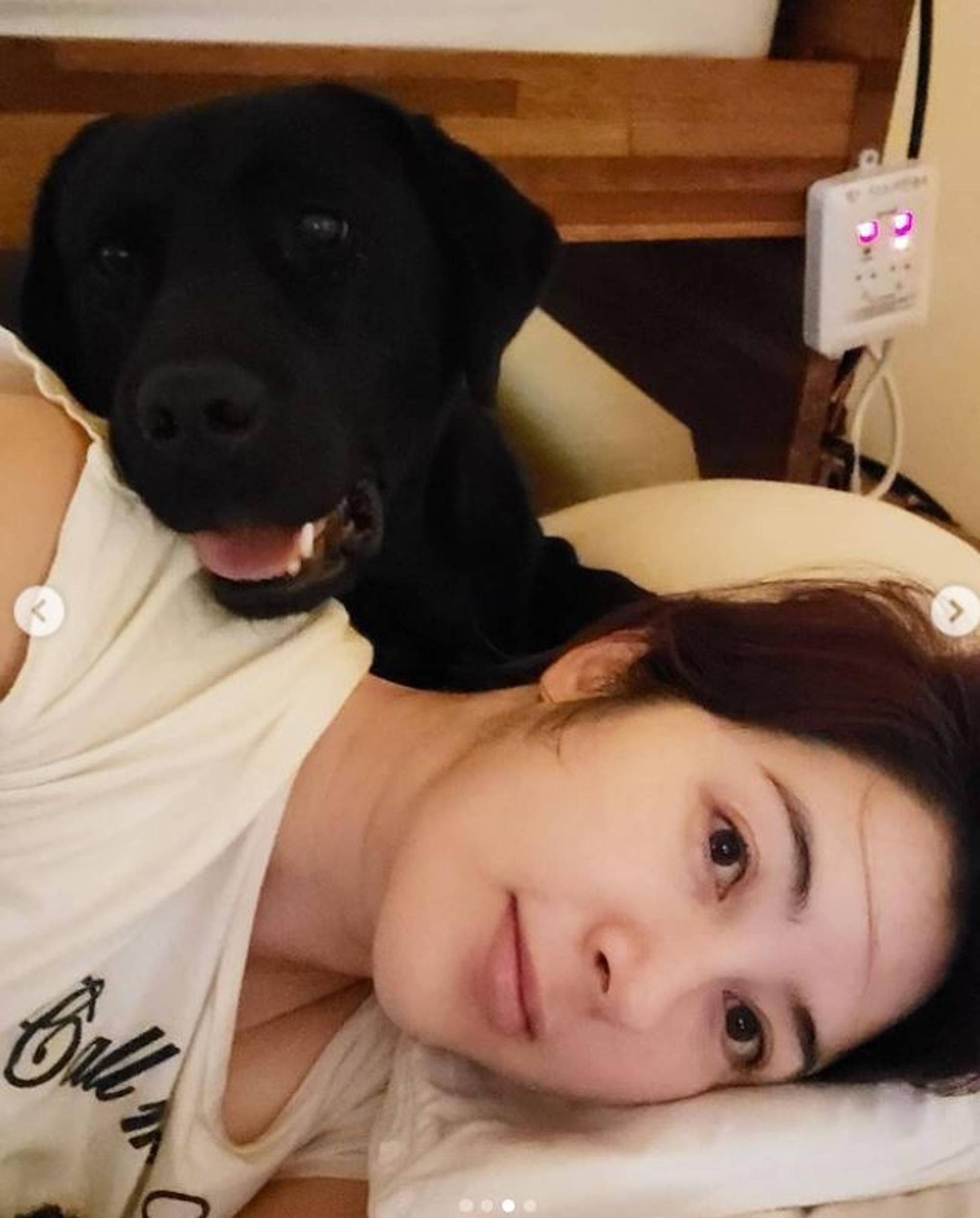 '이병헌 동생' 이지안 반려견 잃은 슬픔… "독약테러였다""