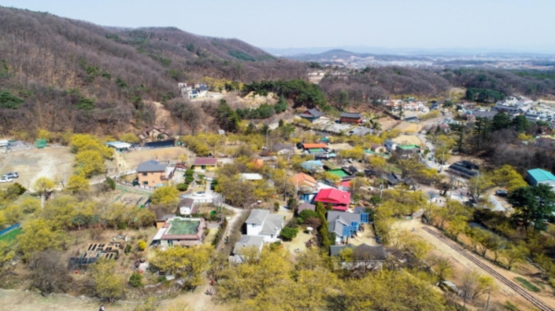이천시, '백사면 산수유마을' 생태관광거점 조성 추진