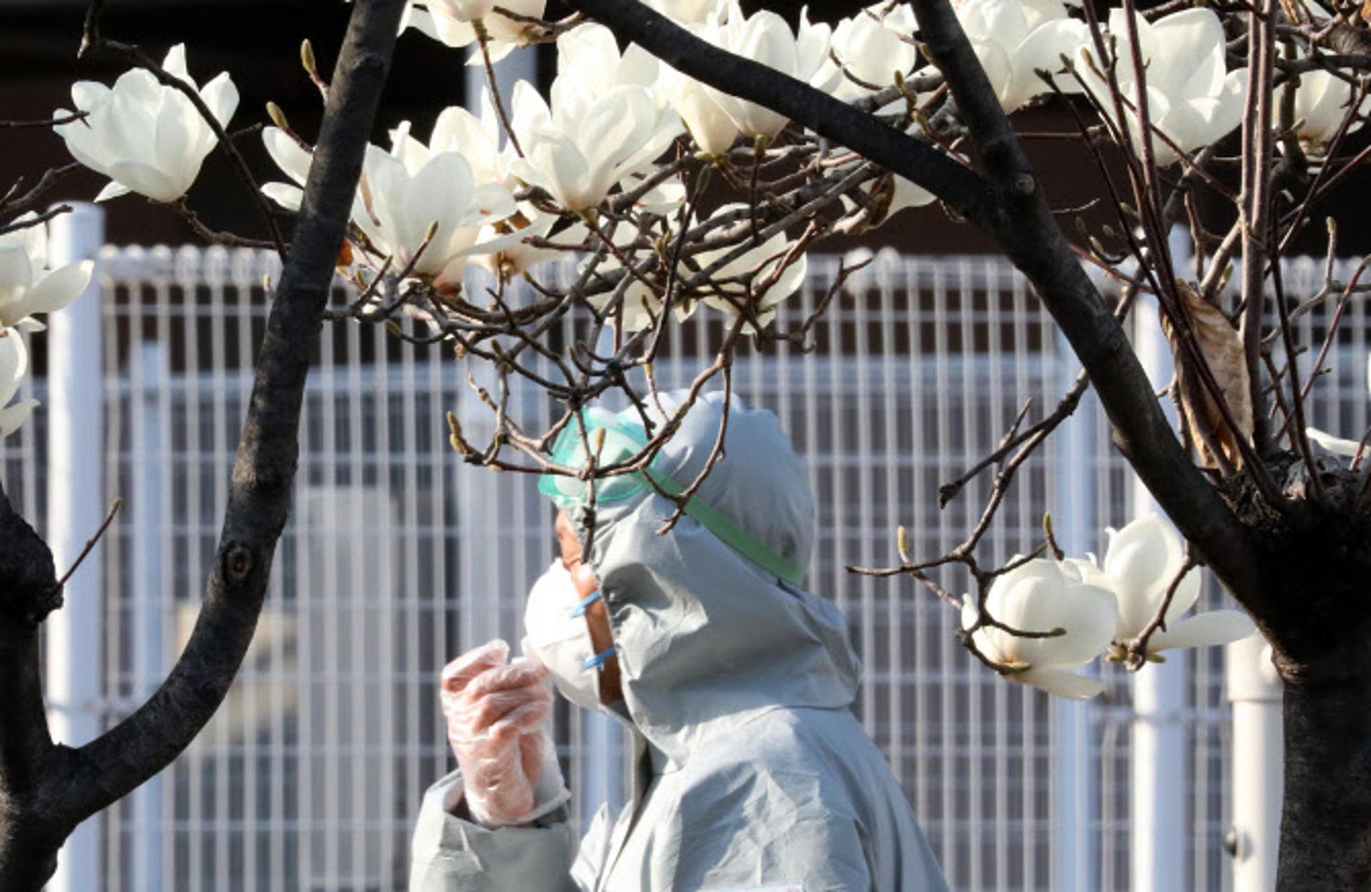 신규확진 735명… 지난 1월 869명 이후 105일 만에 최다(상보)