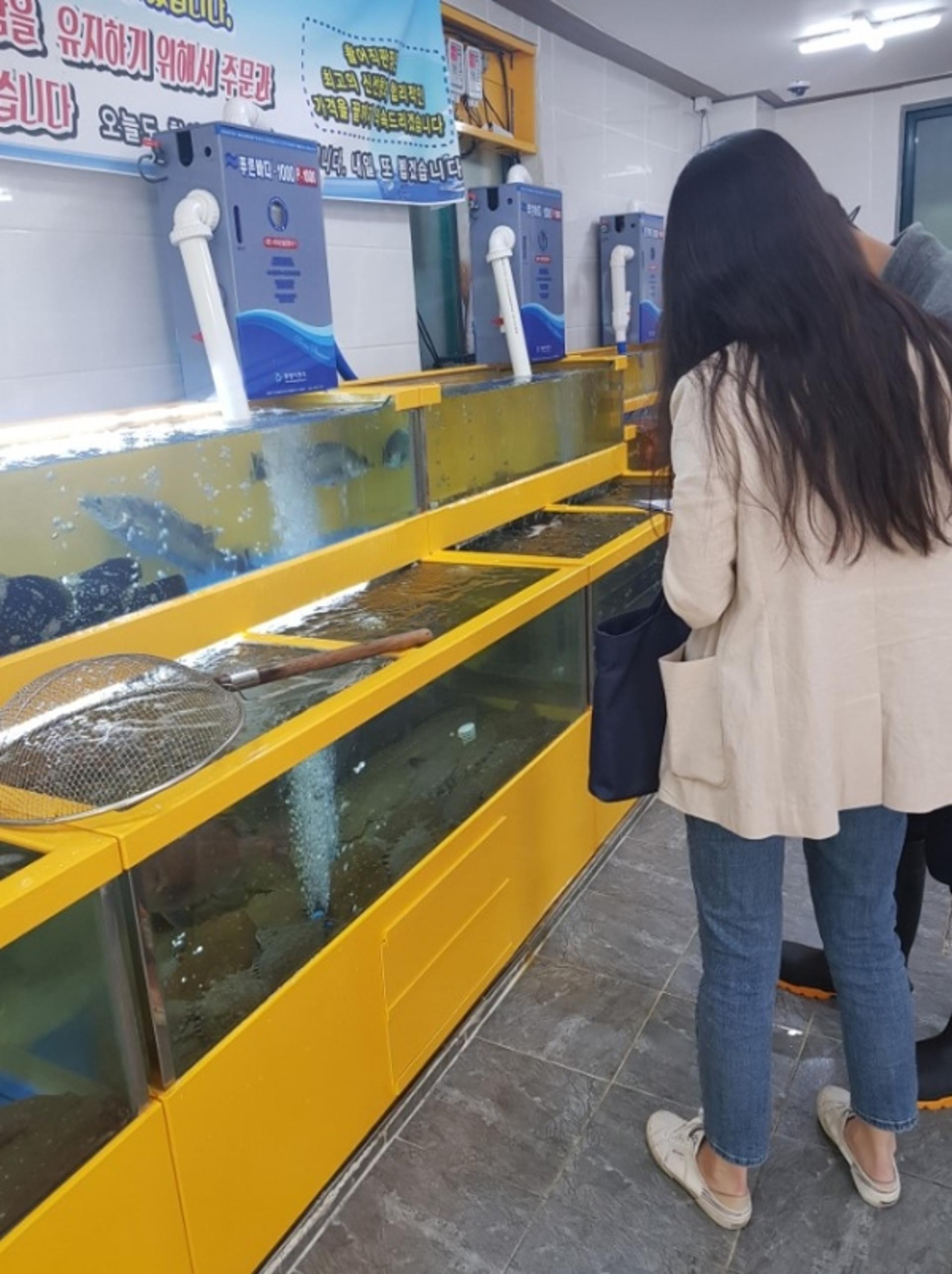 용인시, 수입 수산물 취급 406곳 대상 원산지표시 특별단속