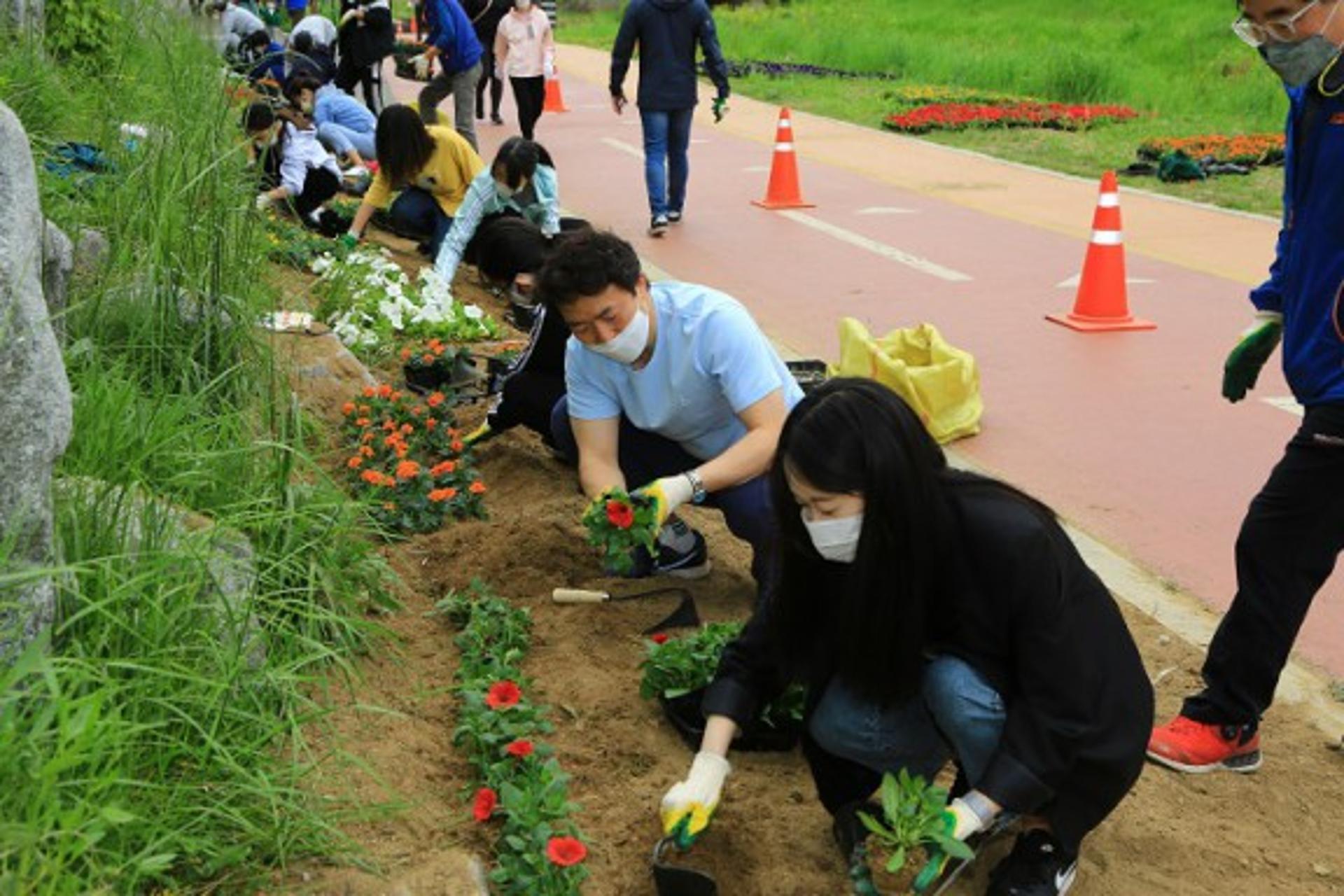 과천시, 시민참여형 '시민이 걷고싶은 꽃길조성사업' 추진