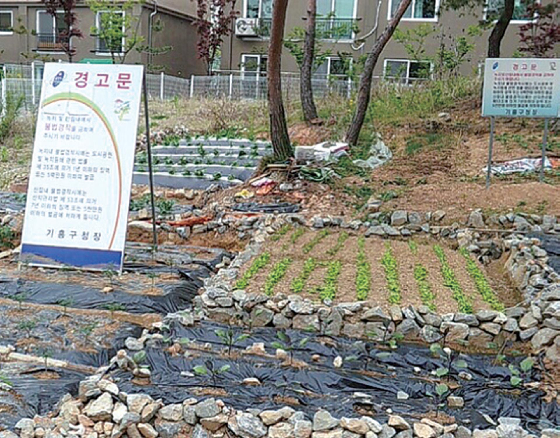 빈 공유지 내 무심코 한 경작 행위 등도 변상금 부과 대상, 유의해야