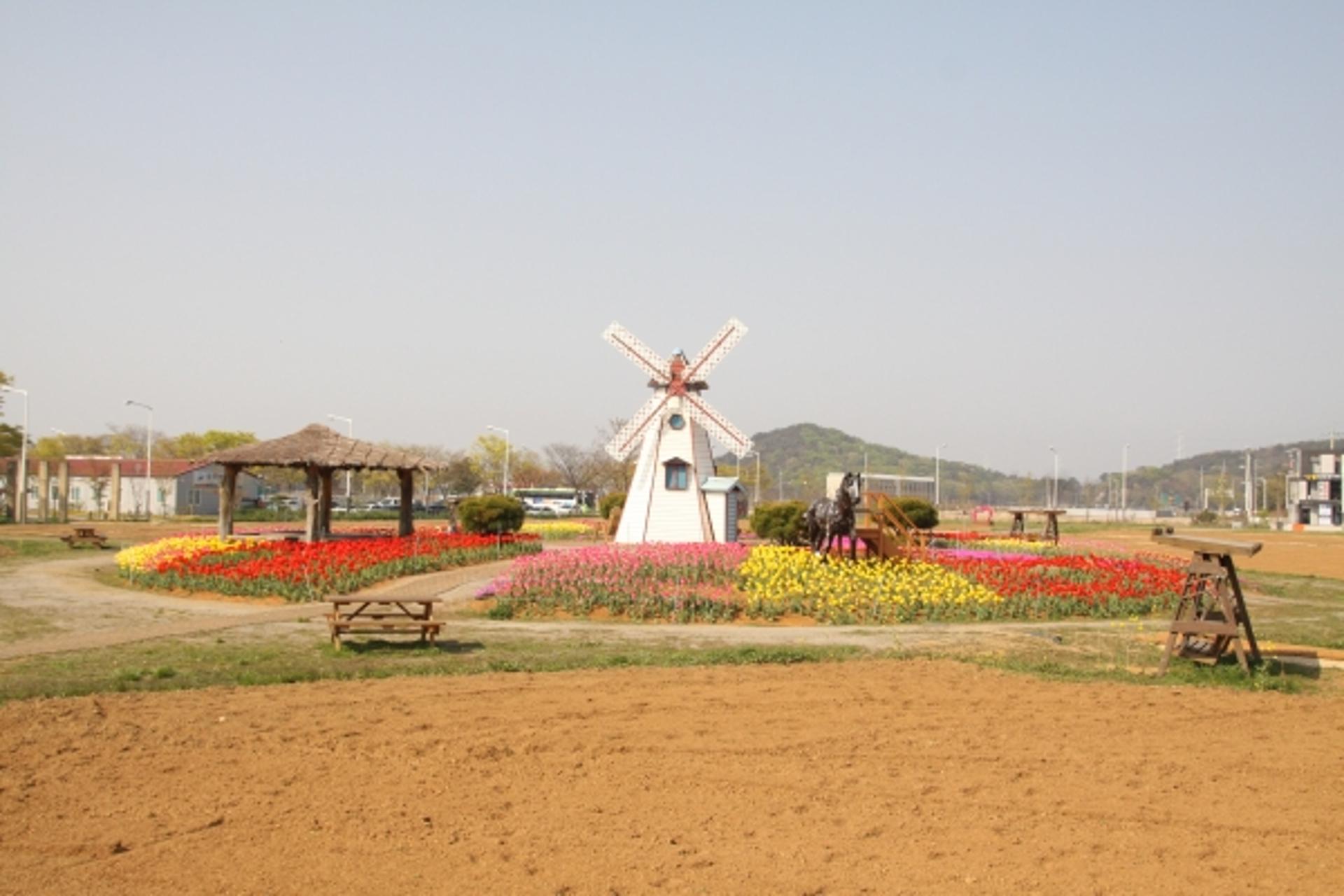 안산 대부도 ‘힐링꽃밭’에서 지친 마음 치유하세요