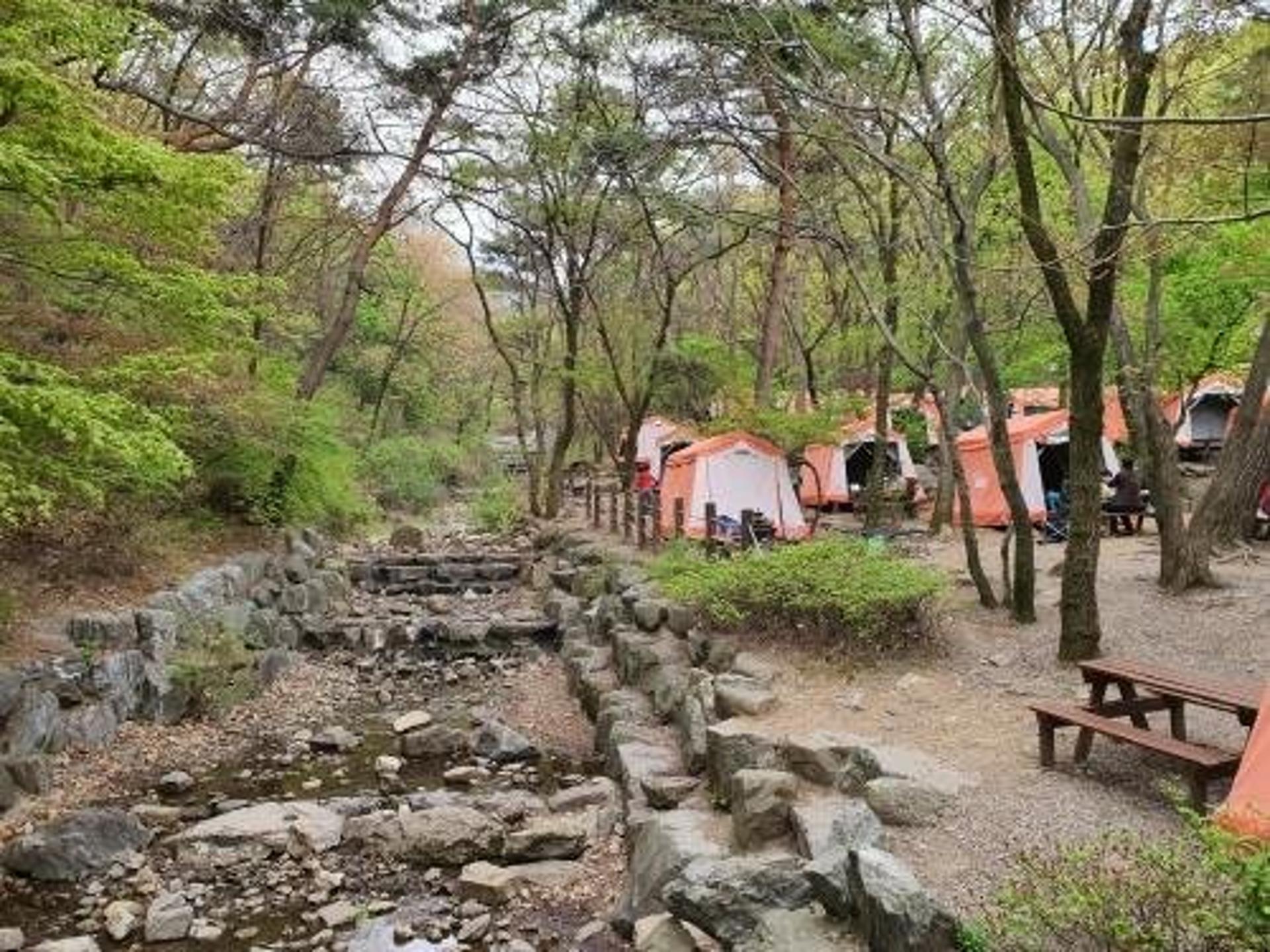 의왕바라산자연휴양림, 비대면(QR코드) 숲 프로그램 운영