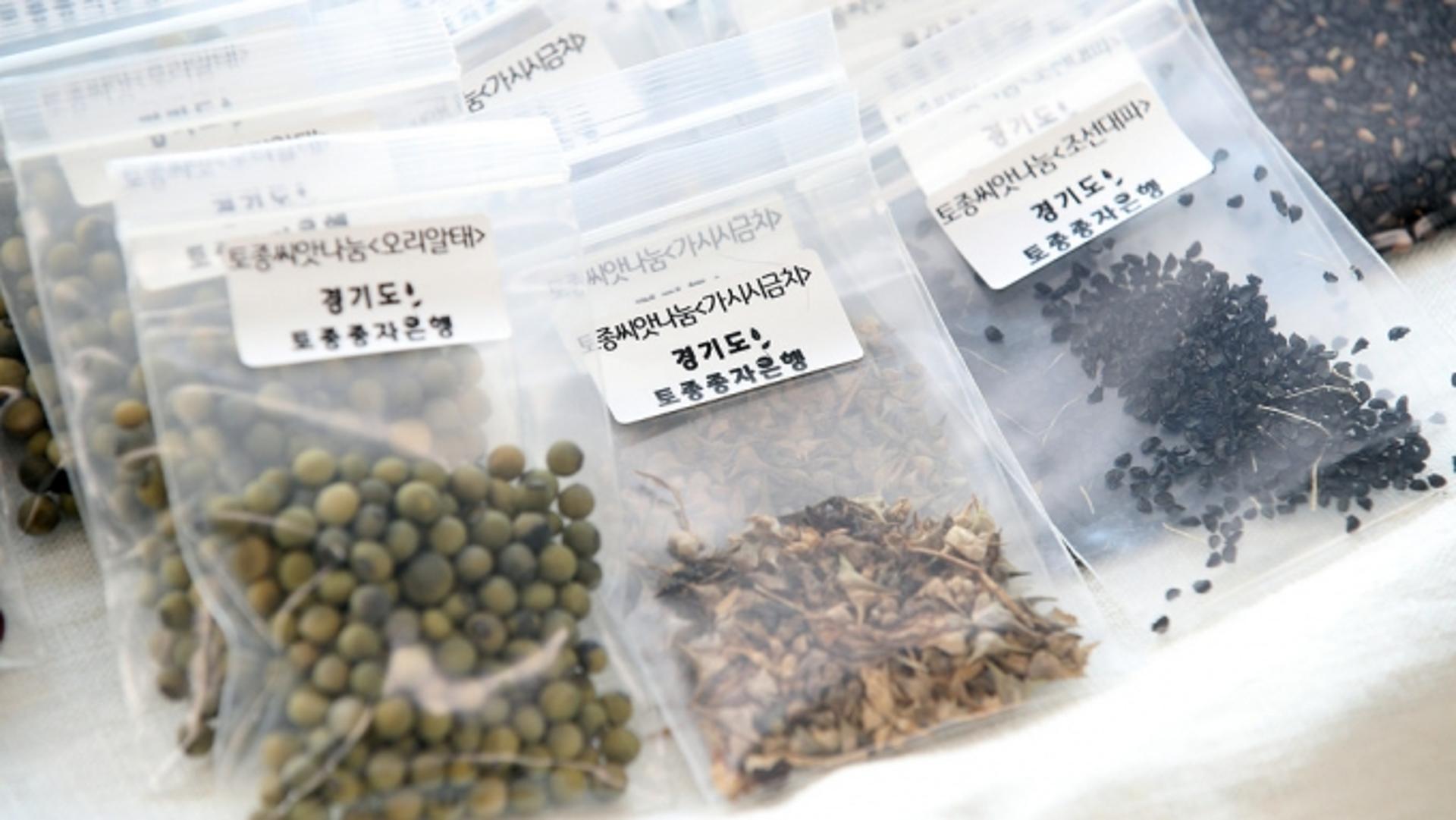 "사라져가는 토종농작물을 지킨다"… 경기도, 토종종자 수집·발굴 나서