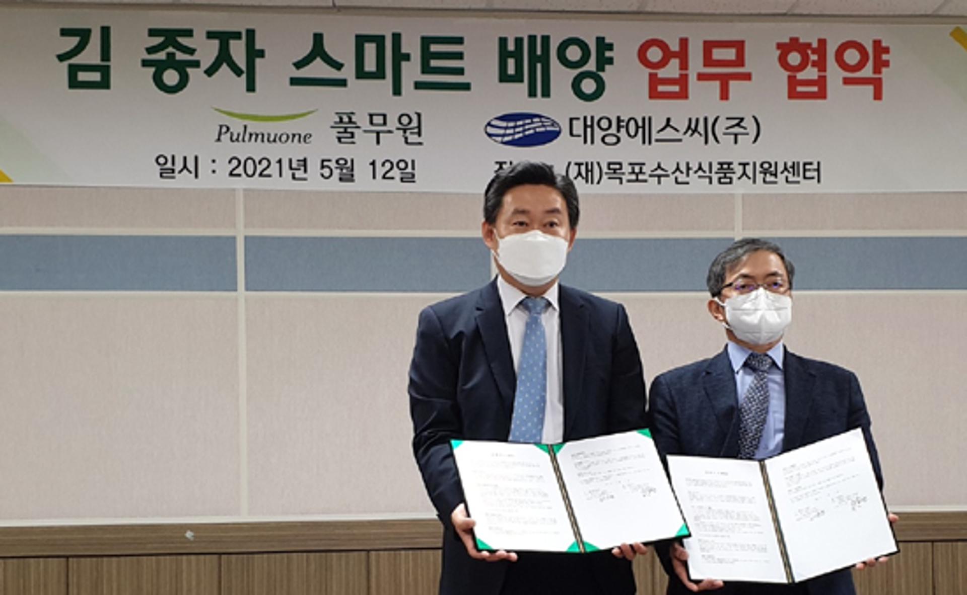대양에스씨-풀무원, 김 종자 스마트배양 공동연구 '맞손'