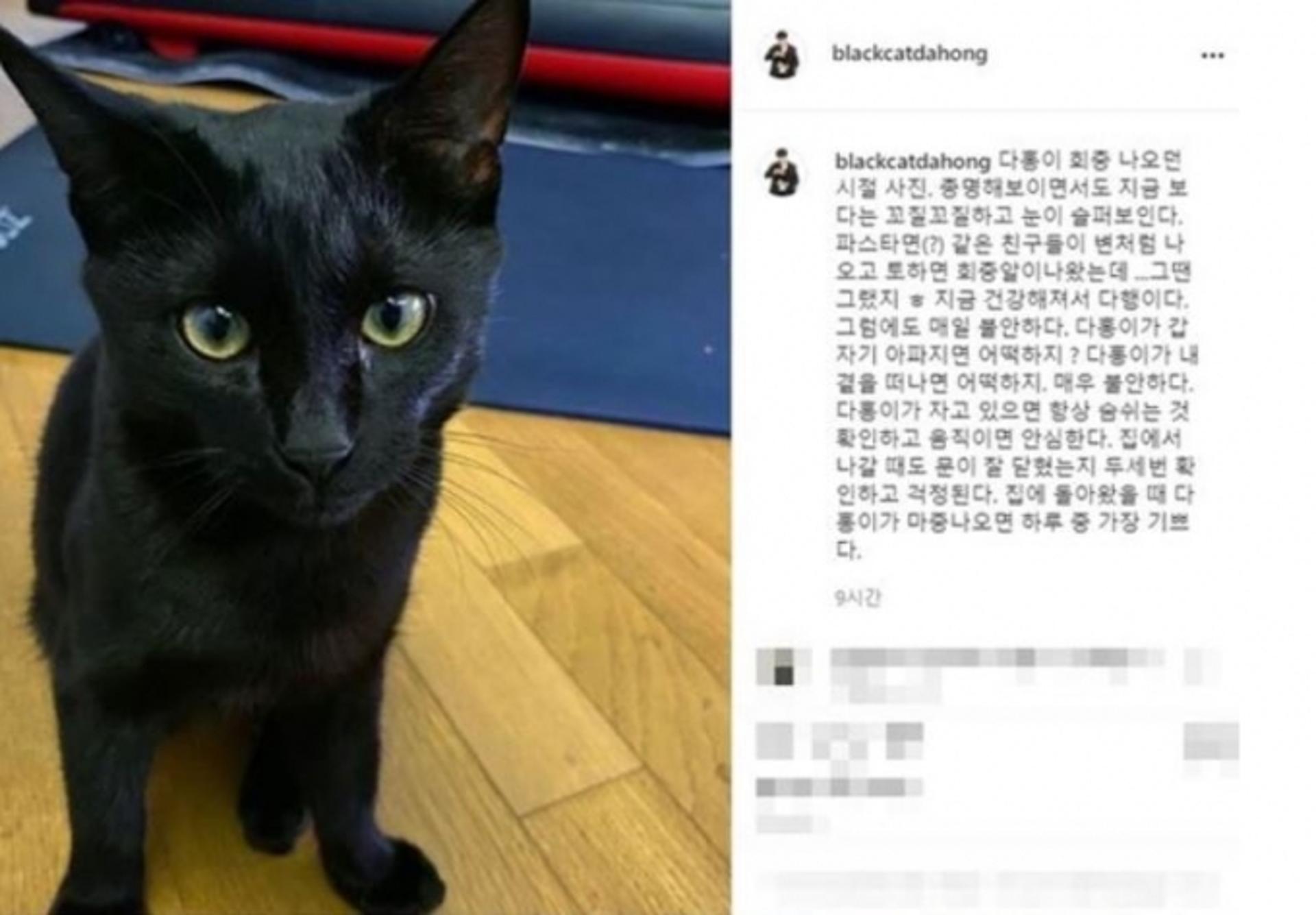 "다홍이 떠나면 어떡하지?" 박수홍, 멘탈 챙겨야할 듯