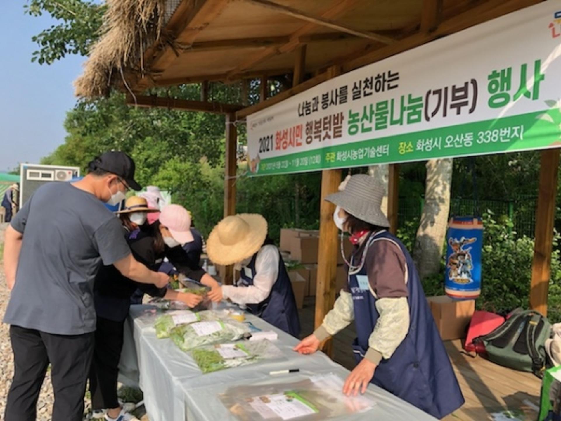 "싱싱한 야채 어려운 이웃과 나눠요"…화성시, 시민행복텃밭 농산물 첫 나눔행사