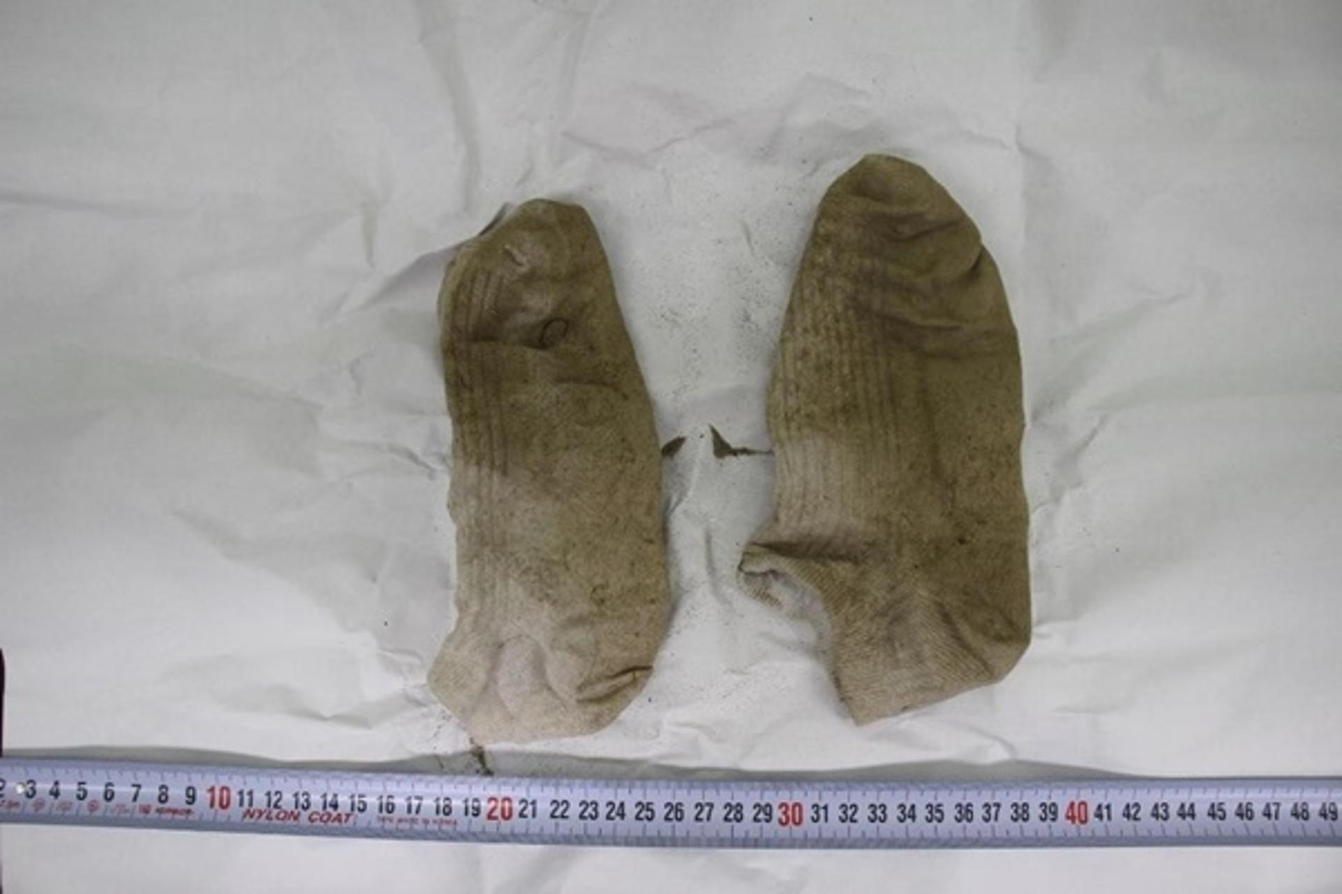 "故 손정민씨 양말에 묻은 흙, 한강 바닥 흙과 유사"