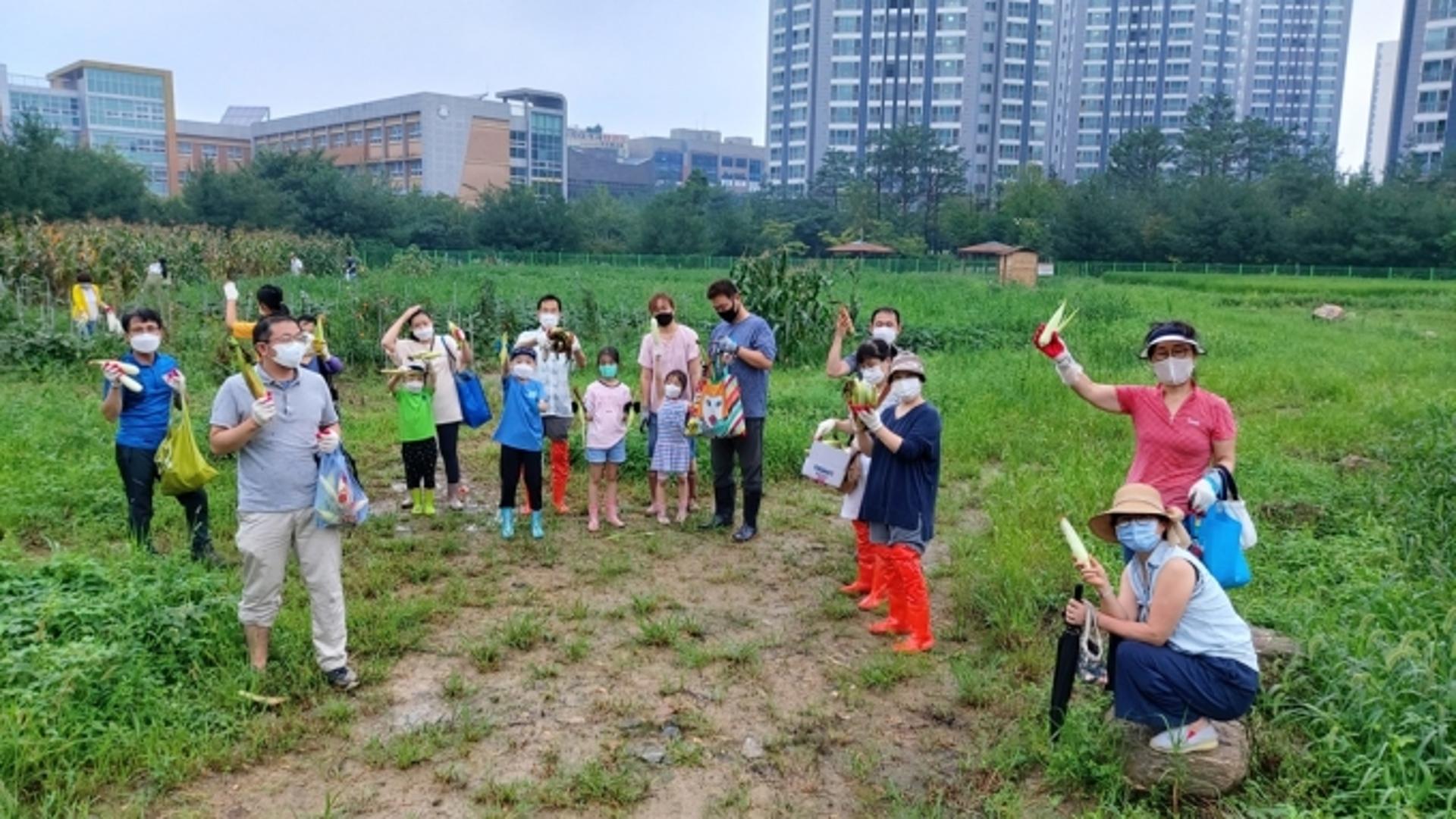경기도, '그냥드림텃밭' 조성…먹거리 취약계층에 농산물 나눔