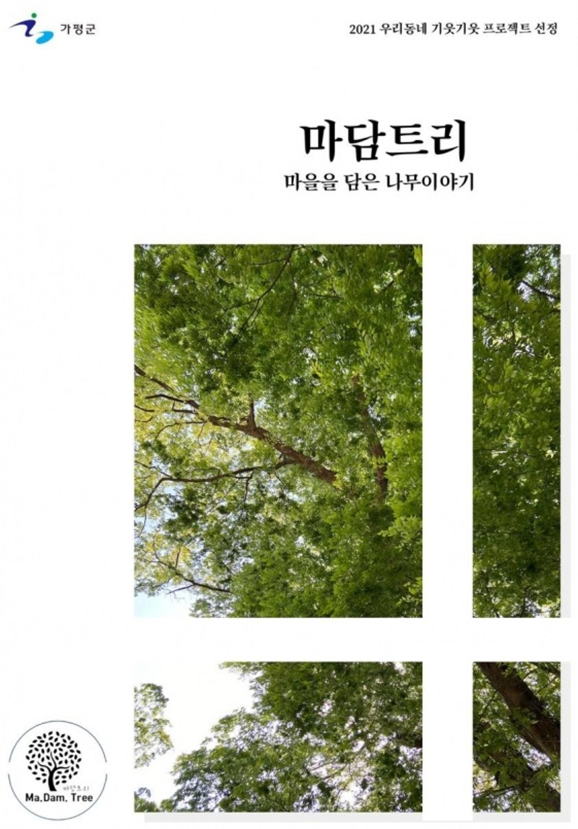 가평군, 주민과 함께하는 문화사업 추진…'우리동네 기웃기웃 프로젝트' 등