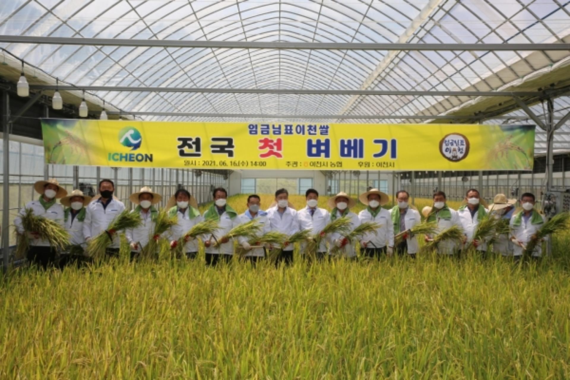 이천시, 전국 첫 벼베기 행사