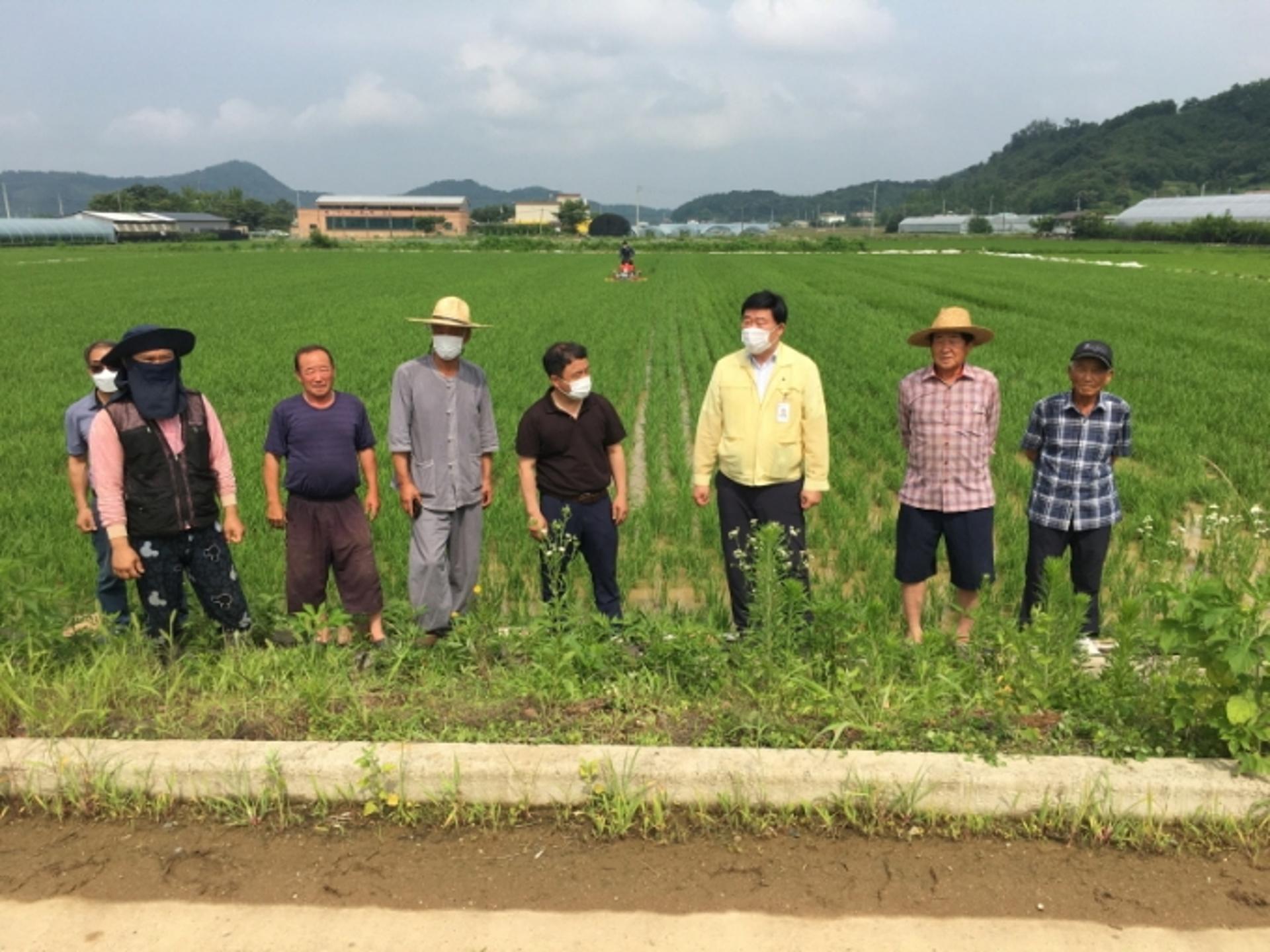 연천군농업기술센터, 친환경벼 재배농가 중경 제초기 시연