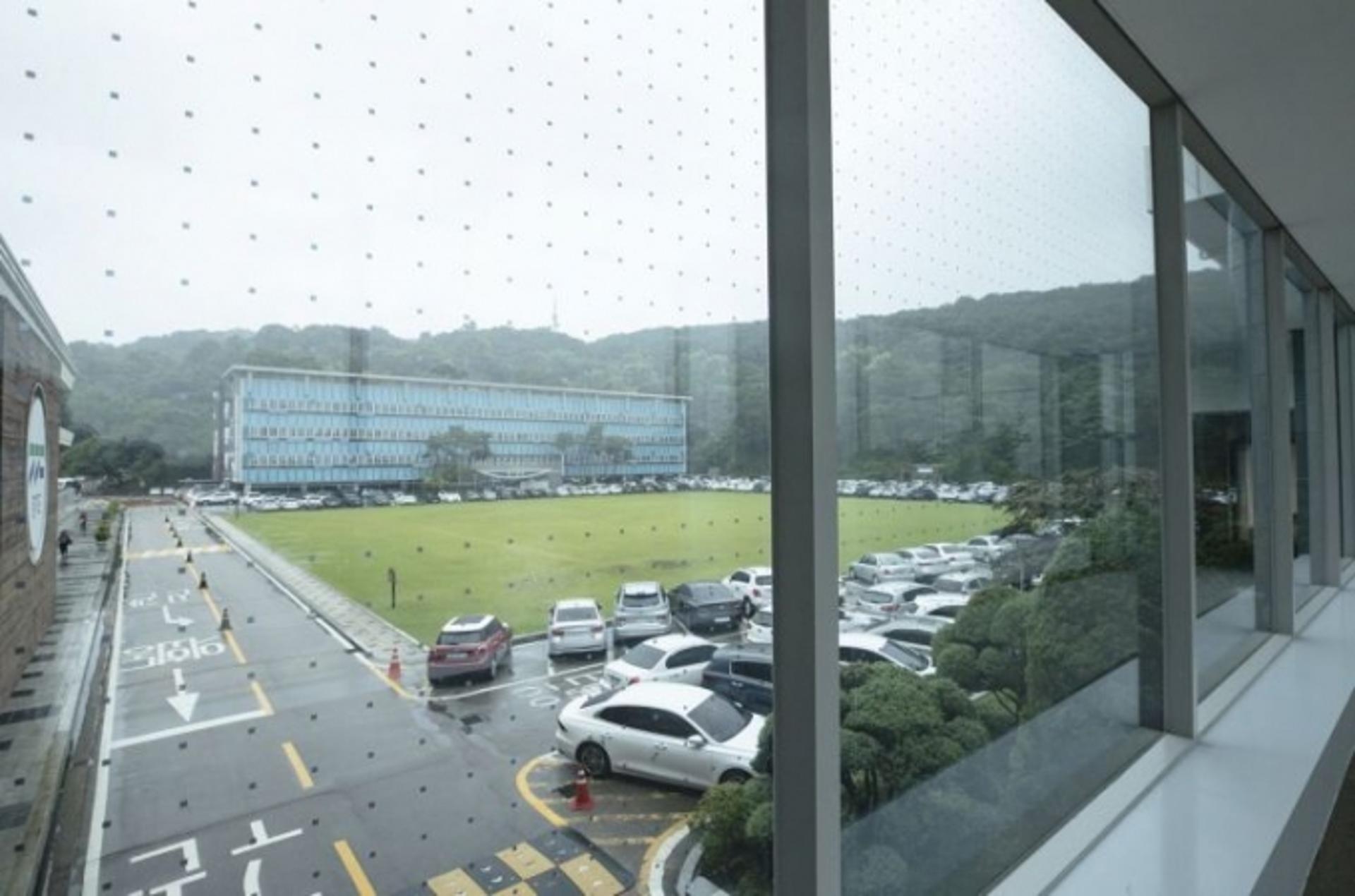 "연간 900여만 마리 폐사"… 경기도, 조류 충돌 방지 '투명방음벽' 설치