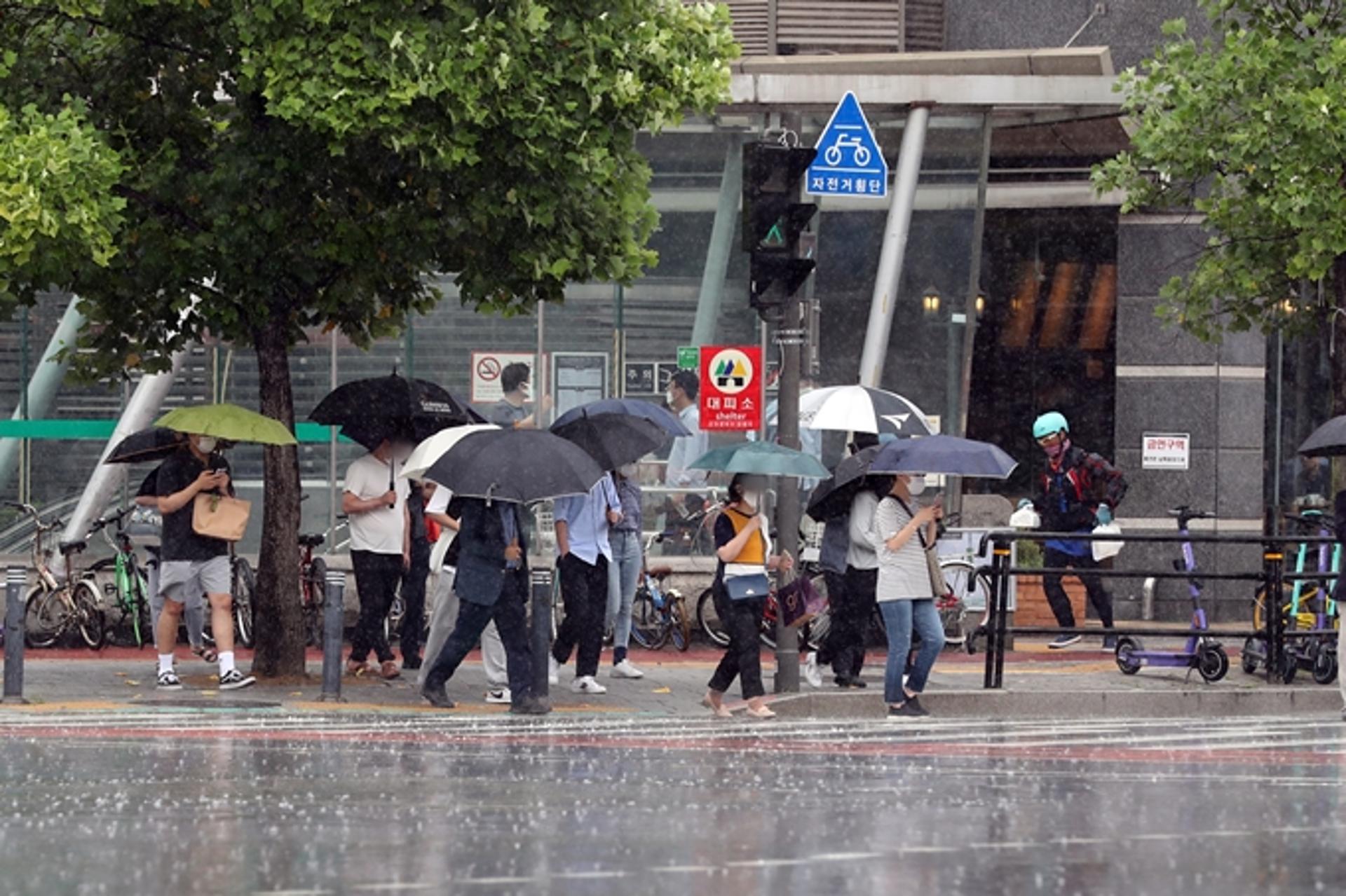 [오늘 날씨] 장마 시작, 시간당 50㎜ 폭우… "저지대 침수 유의하세요"