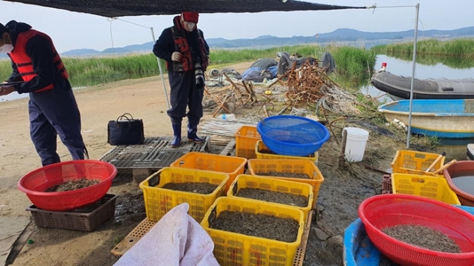 경기도 특사경, 도내 강·호수 불법 어업행위 철퇴…6건 형사입건